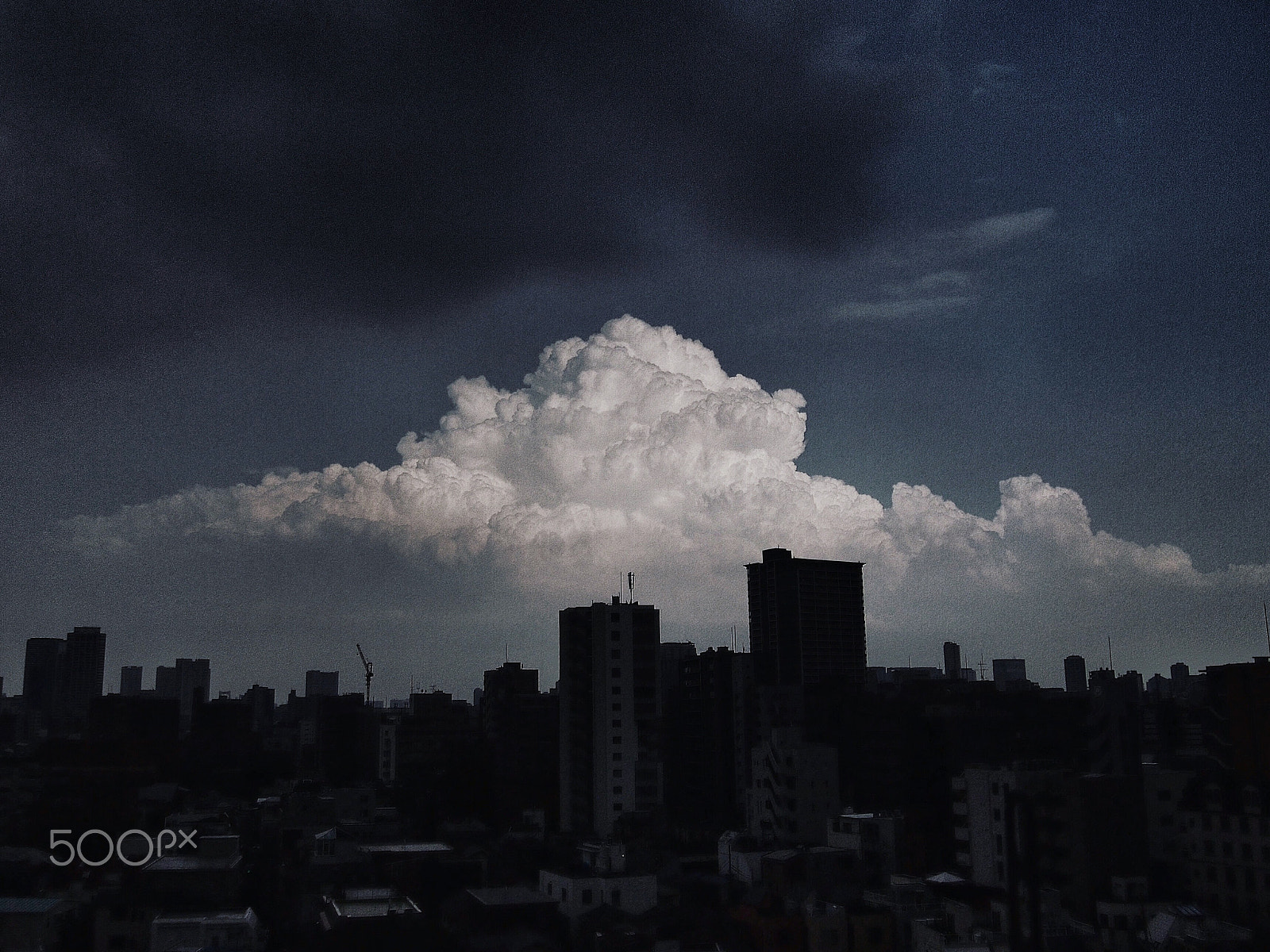 Olympus PEN E-P3 sample photo. Black vs white photography