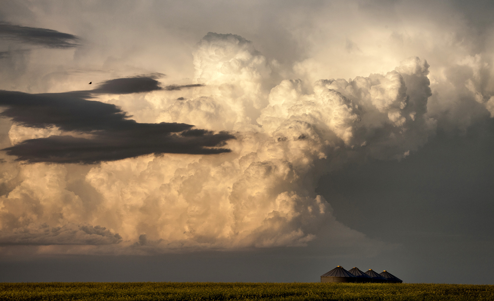 Canon EF 100-400mm F4.5-5.6L IS USM sample photo. Thunderhead photography