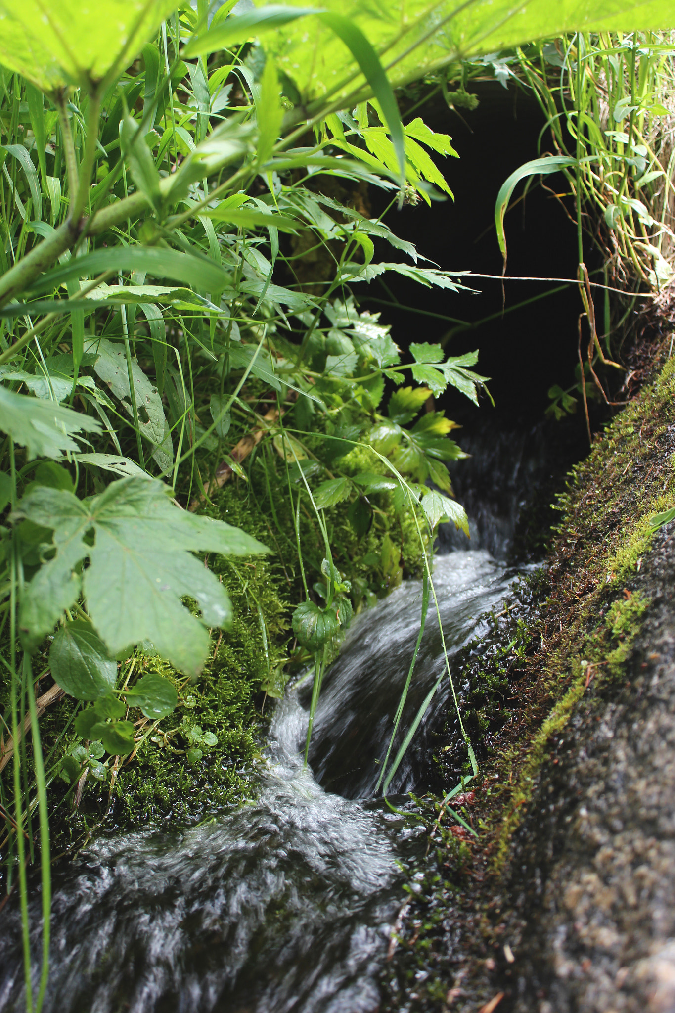 Canon EF-S 18-55mm F3.5-5.6 IS sample photo. Hidden falls photography
