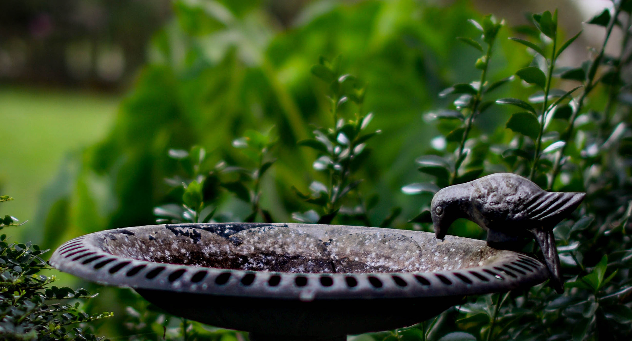 Nikon D610 + Sigma 50mm F1.4 EX DG HSM sample photo. Sms_9708-2.jpg photography