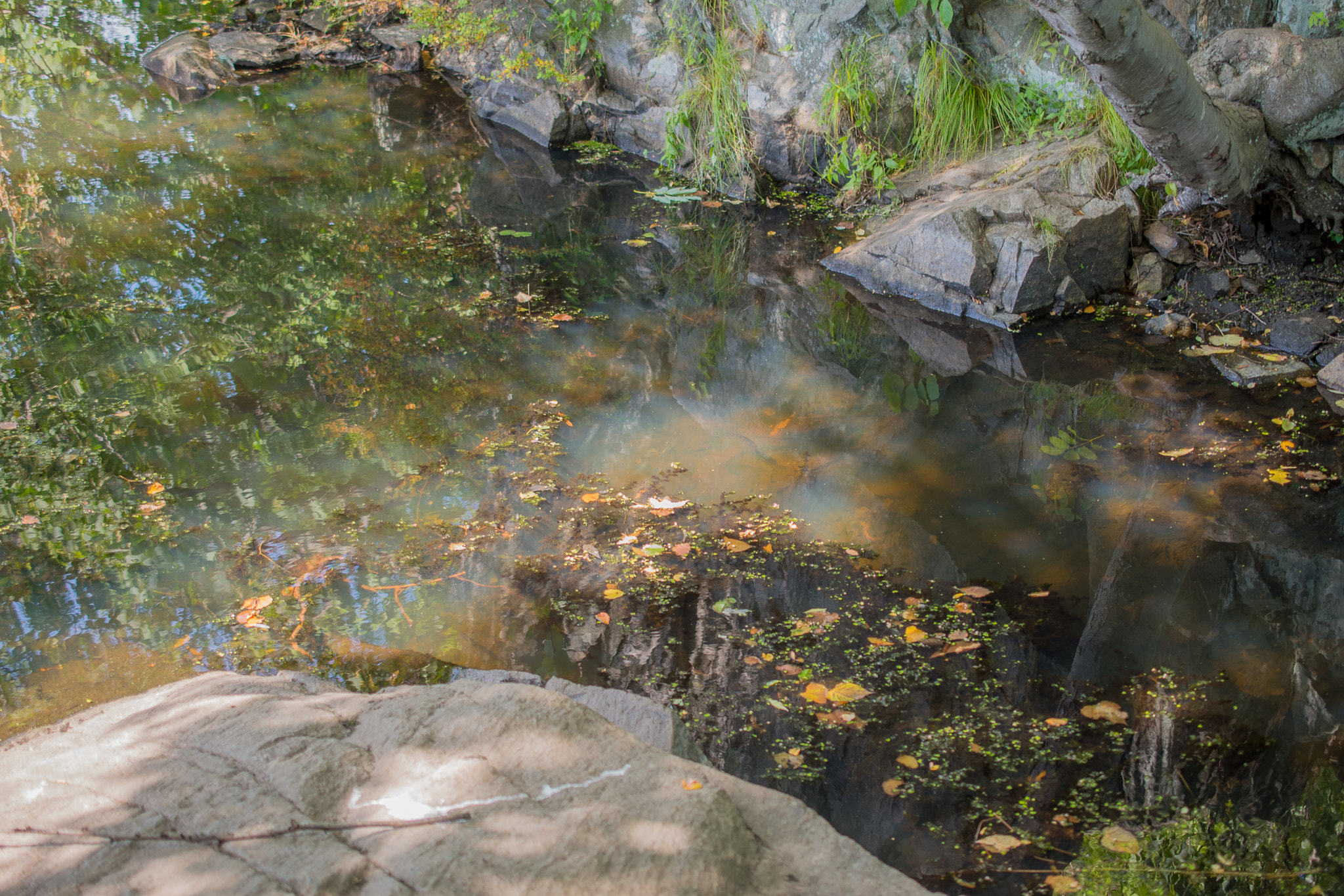 Nikon AF-S DX Micro Nikkor 40mm F2.8 sample photo. Teatown triple / hook mountain heights photography