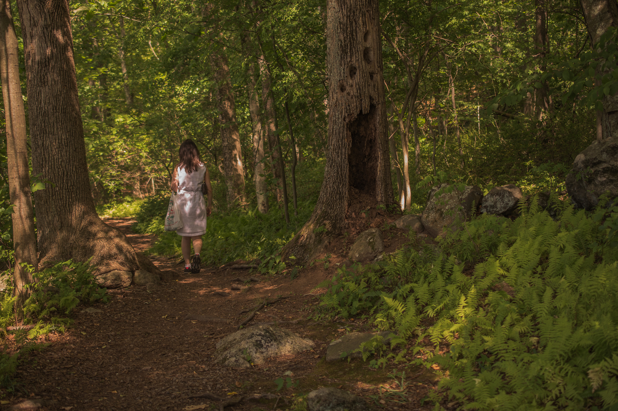 Nikon AF-S DX Micro Nikkor 40mm F2.8 sample photo. Teatown triple / hook mountain heights photography