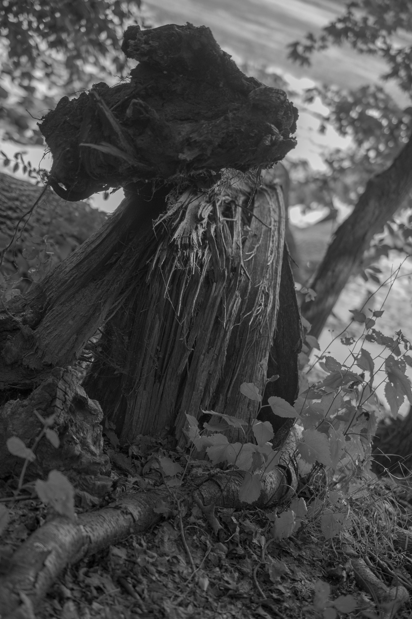 Nikon AF-S DX Micro Nikkor 40mm F2.8 sample photo. Teatown triple / hook mountain heights photography