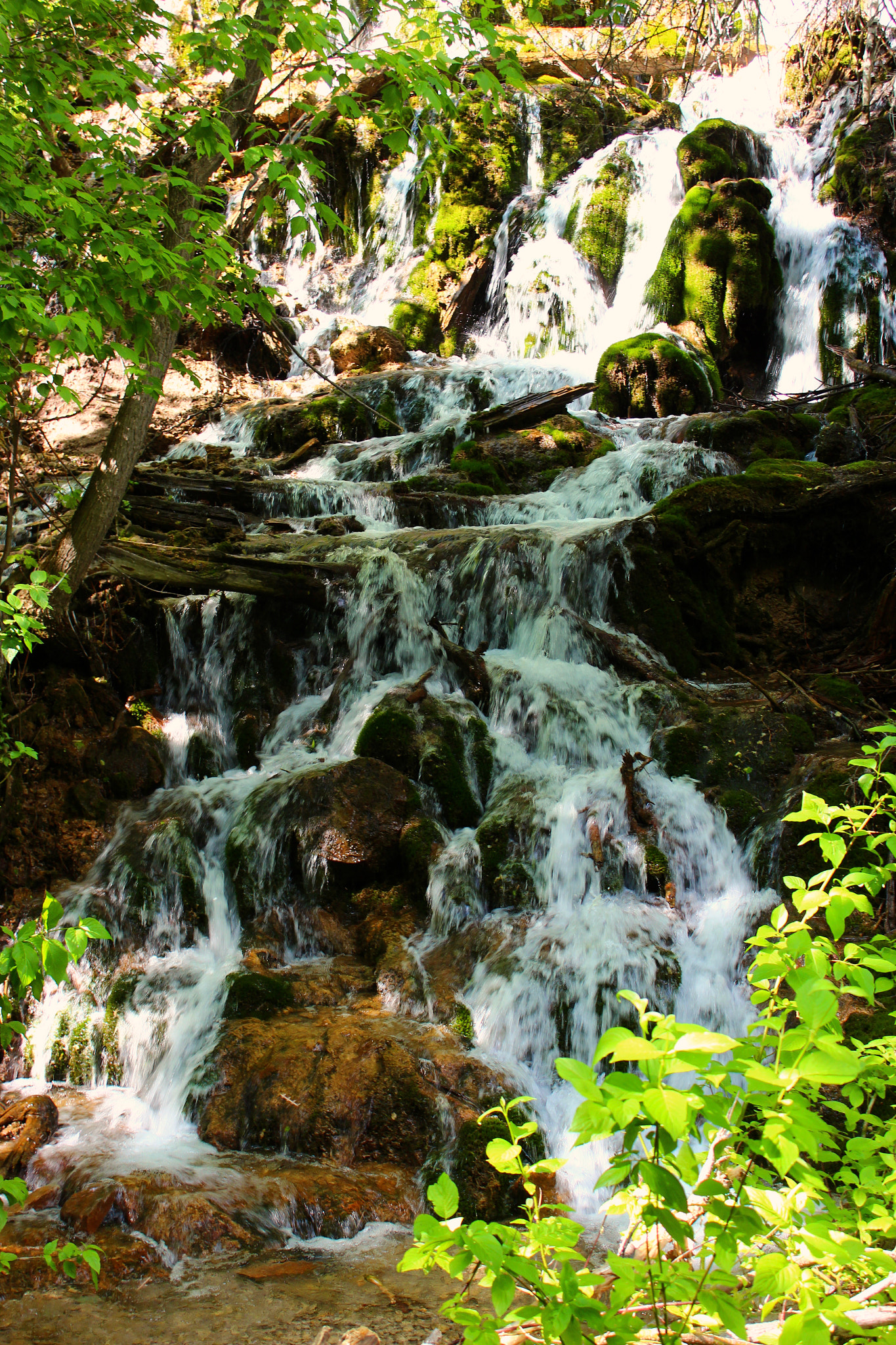 Canon EF-S 18-55mm F3.5-5.6 IS sample photo. Moss spillway photography
