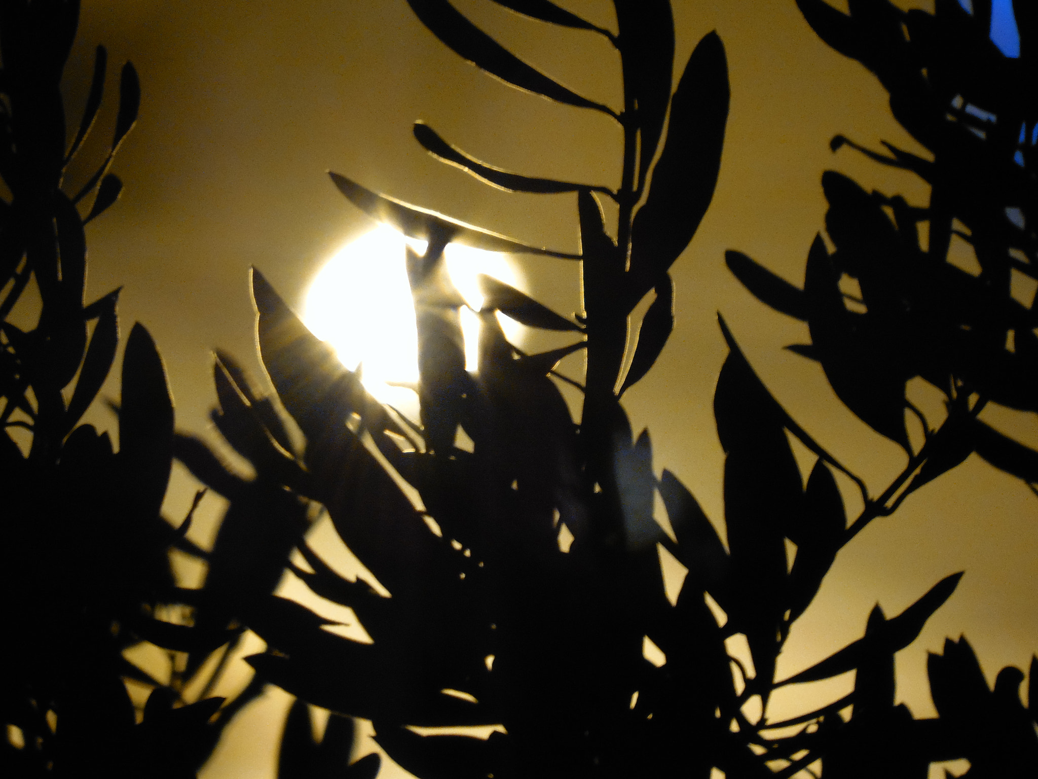 Samsung WB2200F sample photo. Sam_0409.jpg photography