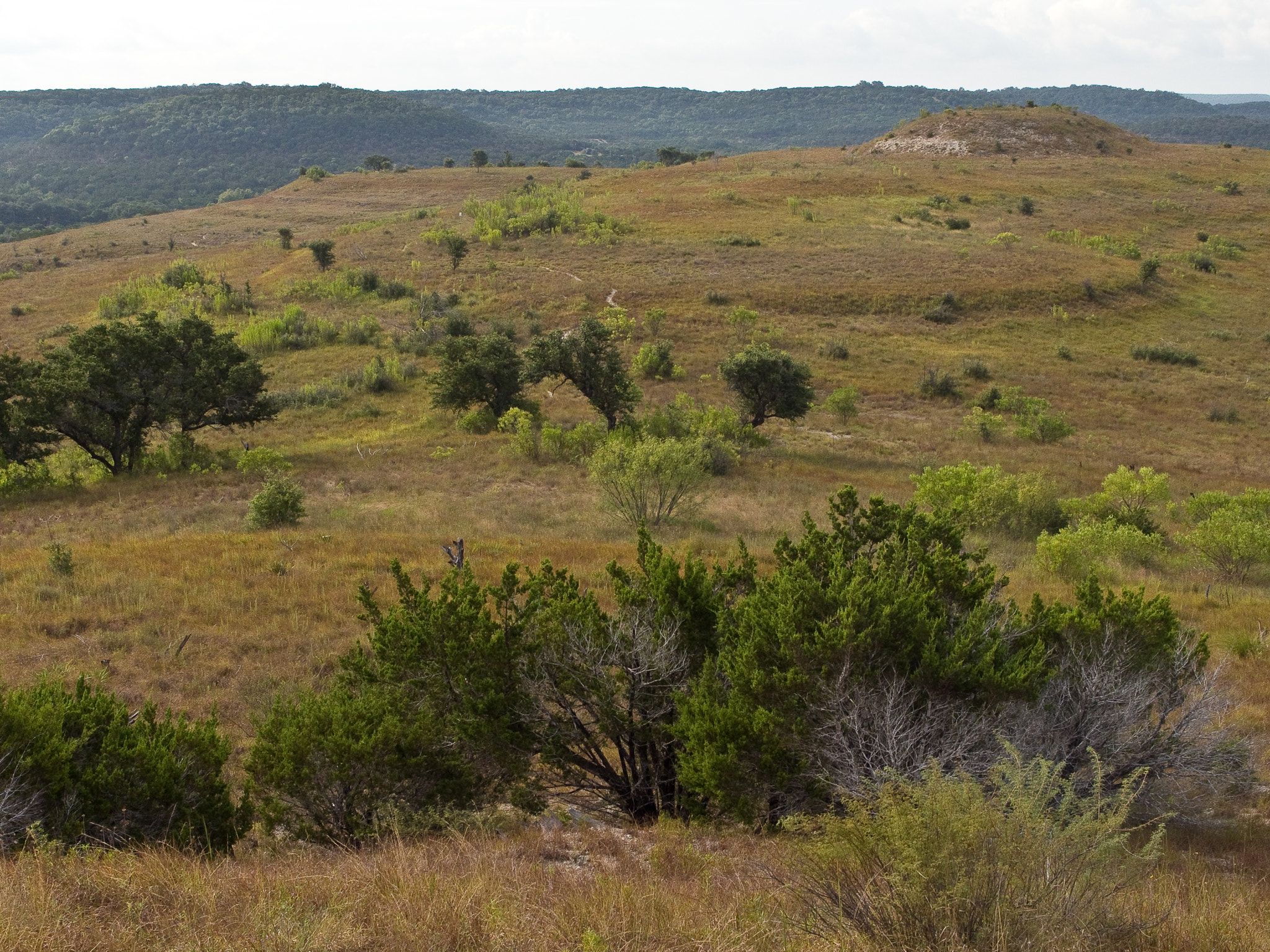 PENTAX RICOH IMAGING PENTAX MX-1 sample photo. Balcones canyonlands nwr photography