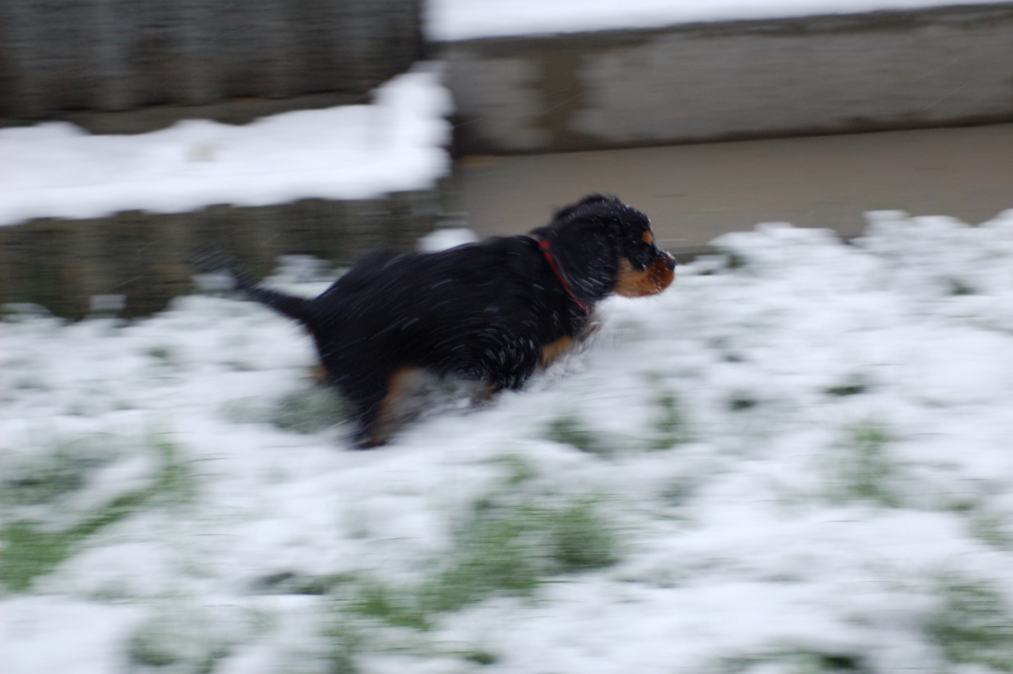 AF Zoom-Nikkor 70-300mm f/4-5.6D ED sample photo. 78071951.jpg photography