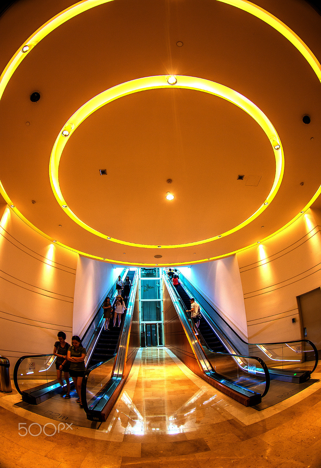 Canon EF 8-15mm F4L Fisheye USM sample photo. P photography