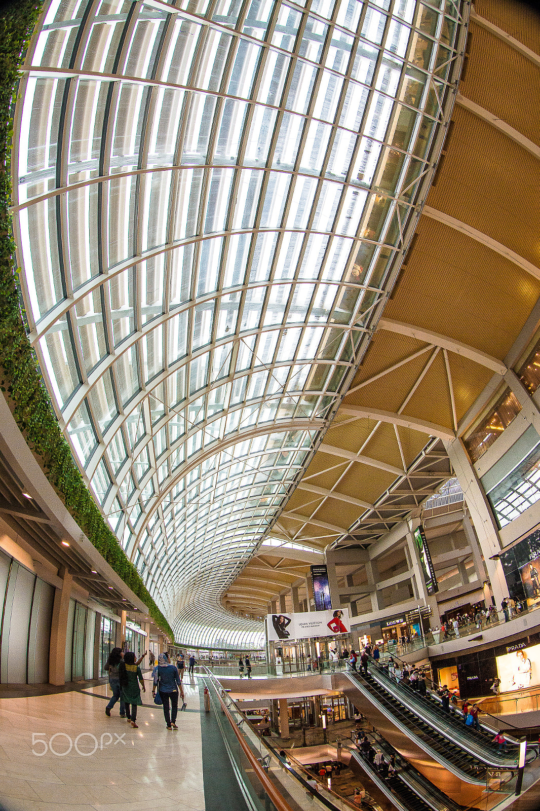 Canon EF 8-15mm F4L Fisheye USM sample photo. 5-6308.jpg photography