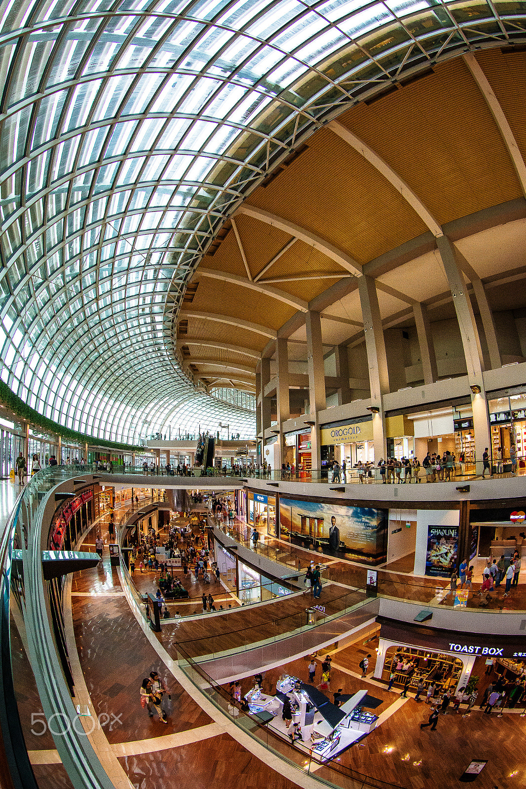 Canon EF 8-15mm F4L Fisheye USM sample photo. P photography