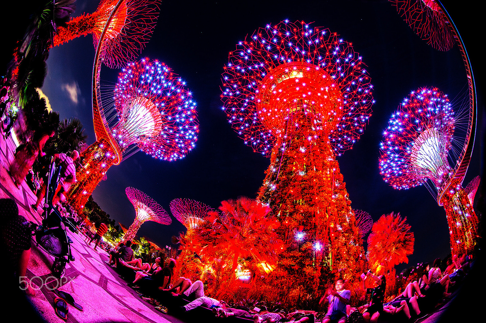 Canon EF 8-15mm F4L Fisheye USM sample photo. S photography