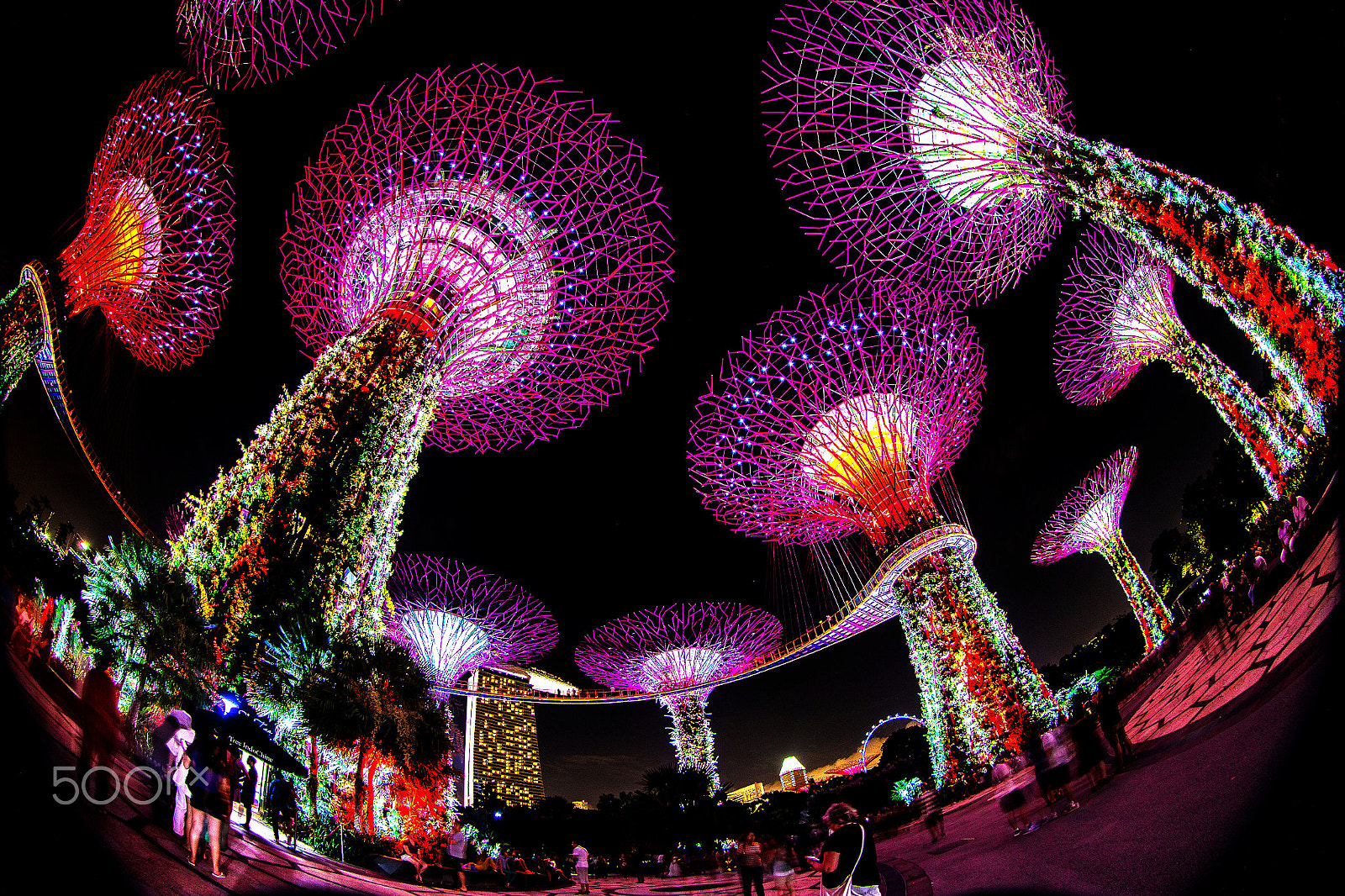 Canon EF 8-15mm F4L Fisheye USM sample photo. S photography