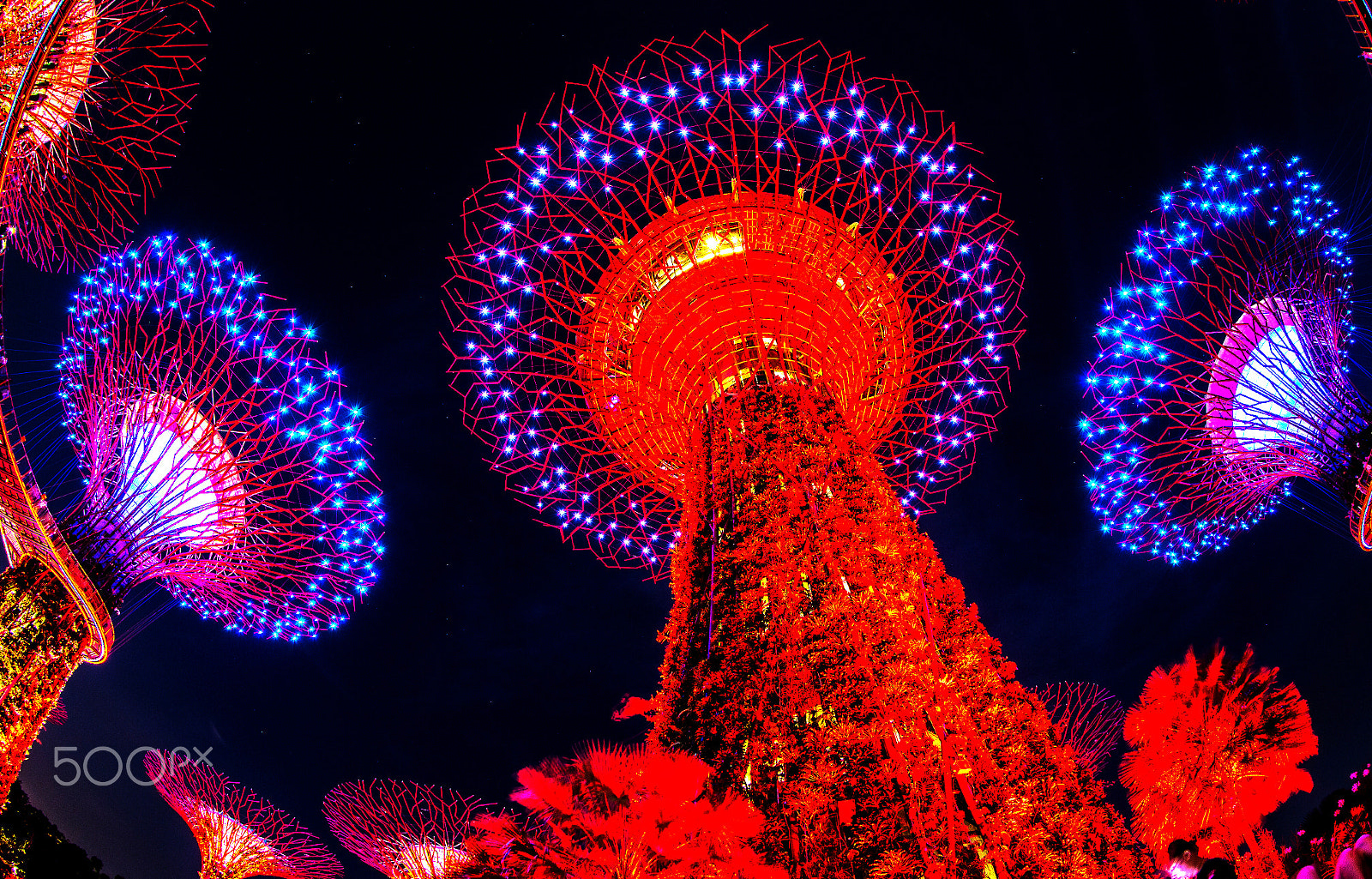 Canon EF 8-15mm F4L Fisheye USM sample photo. S photography