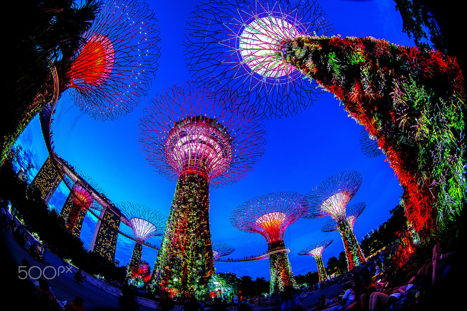 Canon EF 8-15mm F4L Fisheye USM sample photo. S photography