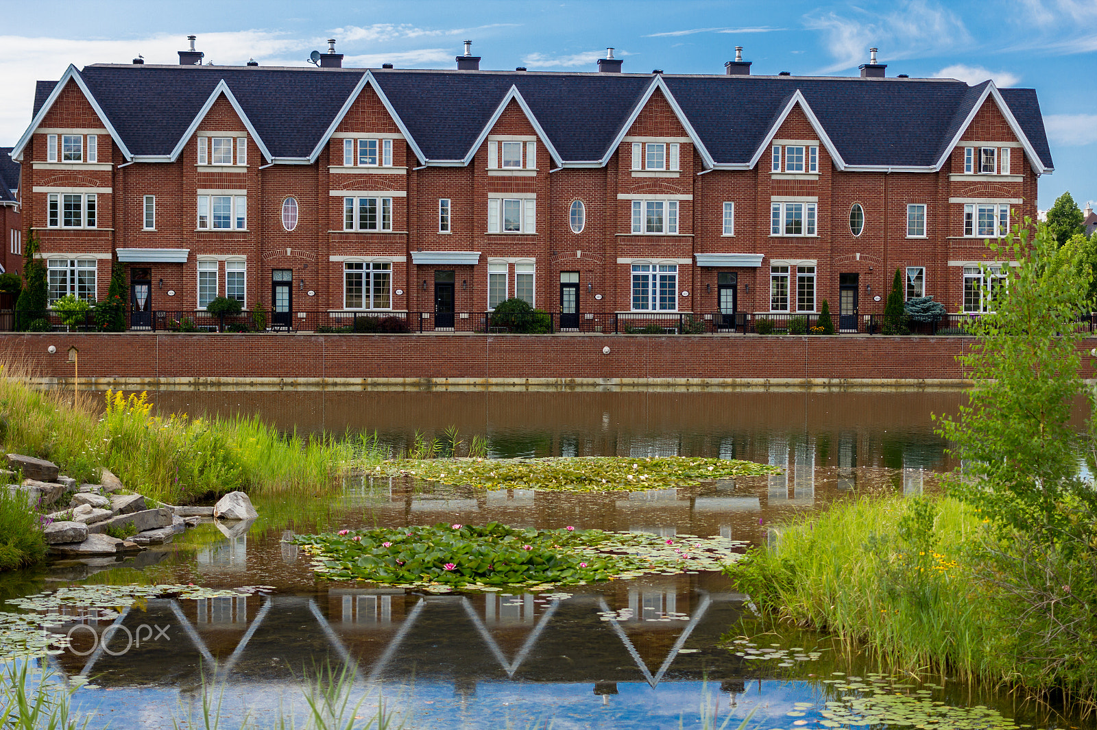Canon EF 40mm F2.8 STM sample photo. Dream pond photography