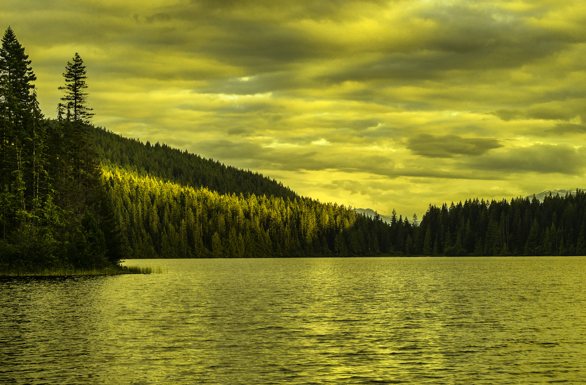 Sony 75-300mm F4.5-5.6 sample photo. Back country photography