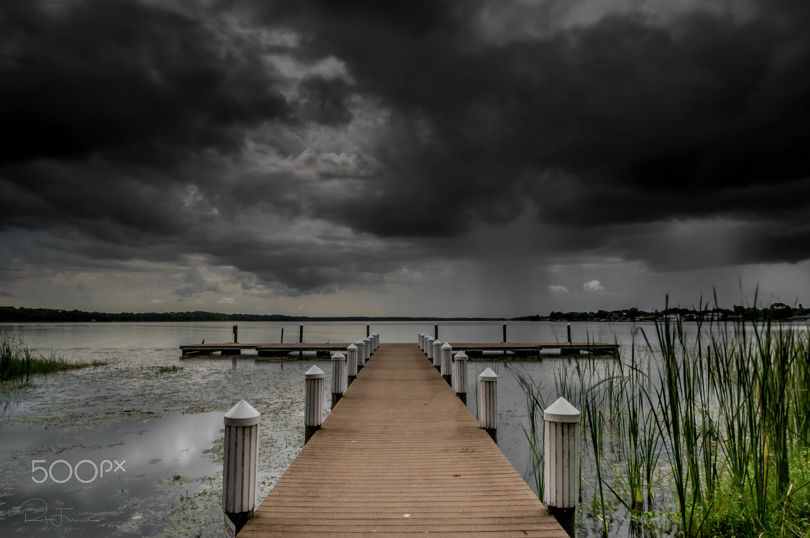 Sigma 17-70mm F2.8-4 DC Macro HSM | C sample photo. Lake tarpon photography