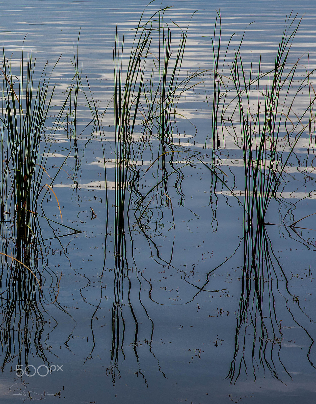 Pentax K-3 sample photo. Lake tarpon.. photography