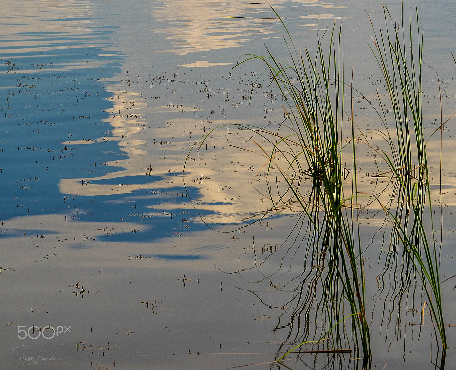 Pentax K-3 sample photo. Lake tarpon... photography