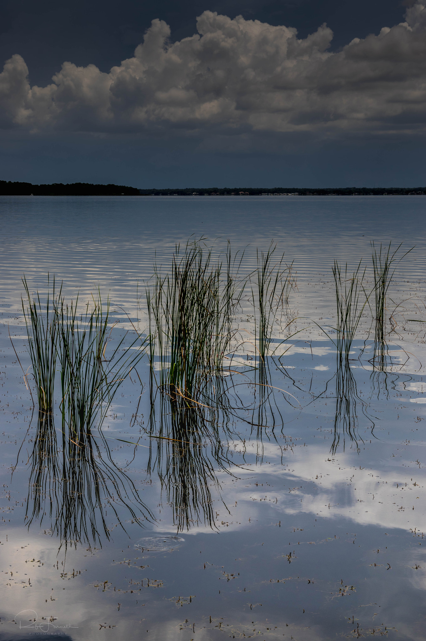 Pentax K-3 sample photo. Lake tarpon.... photography