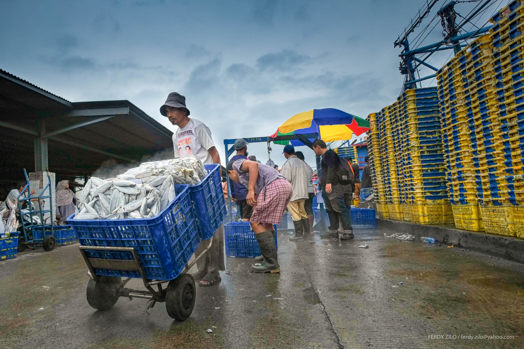 Fujifilm X-E1 + Fujifilm XF 10-24mm F4 R OIS sample photo. Fish market photography