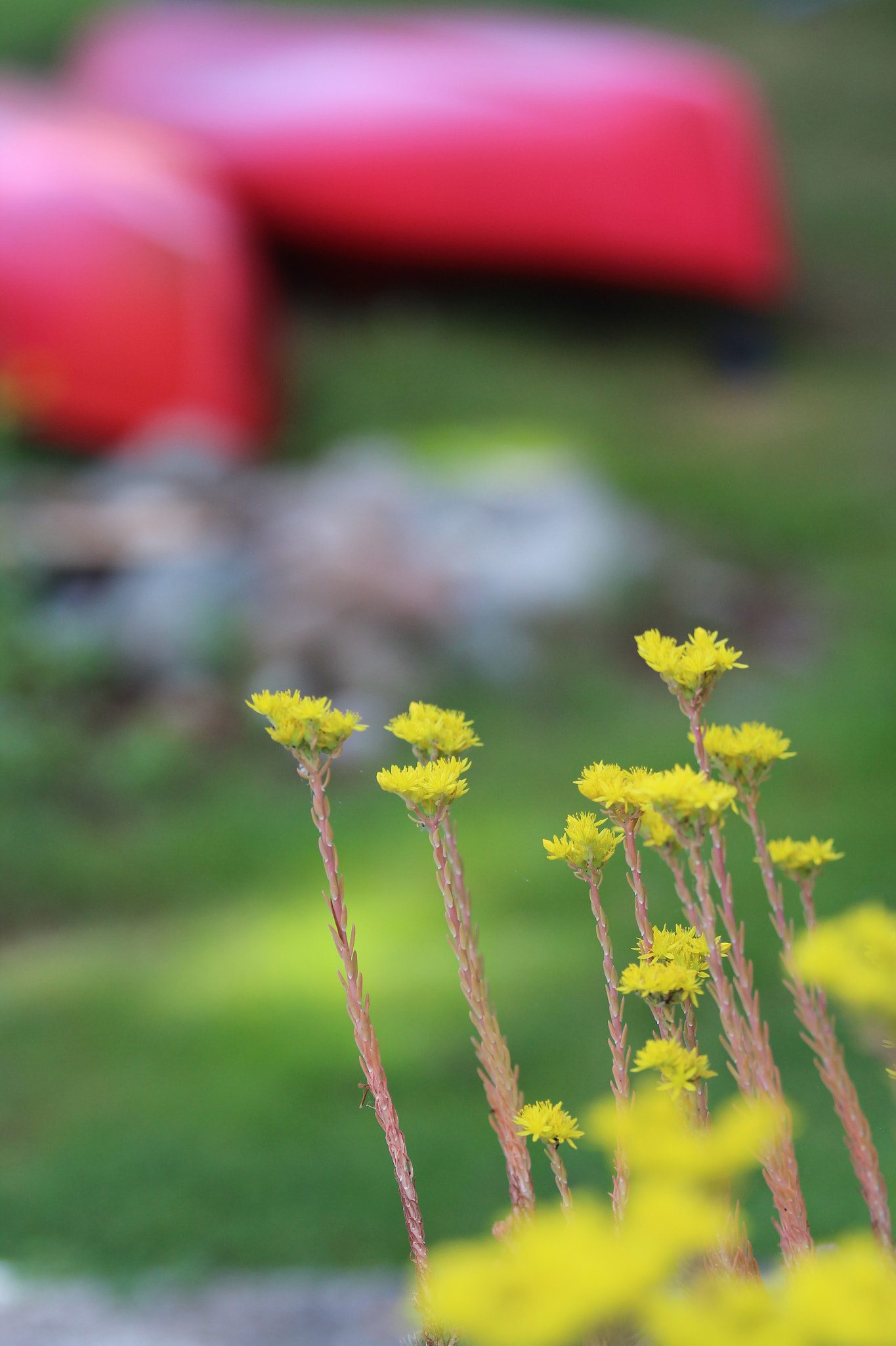 Canon EOS 1200D (EOS Rebel T5 / EOS Kiss X70 / EOS Hi) sample photo. Tranquility photography