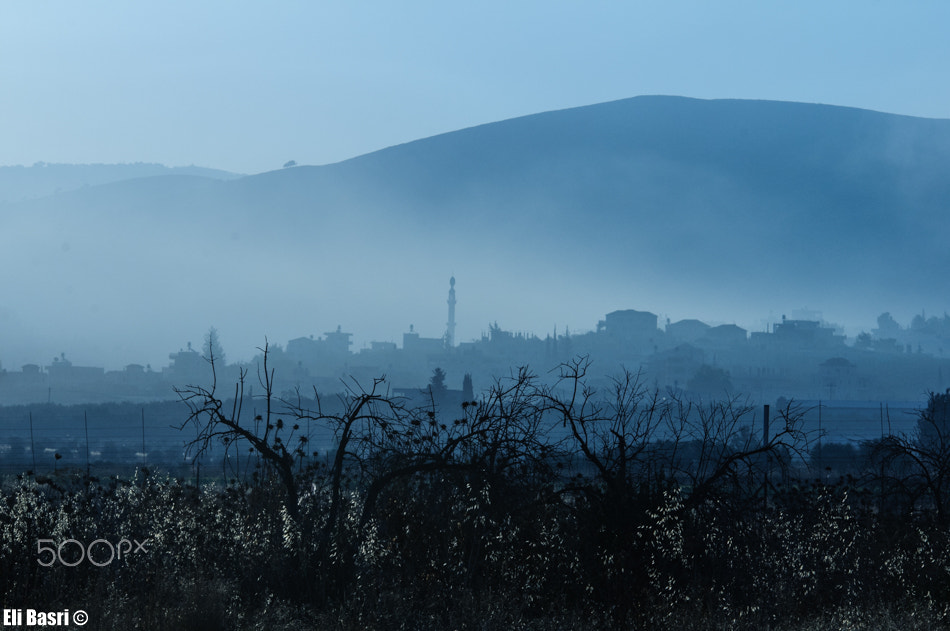 Nikon D300S sample photo. Misty morning photography