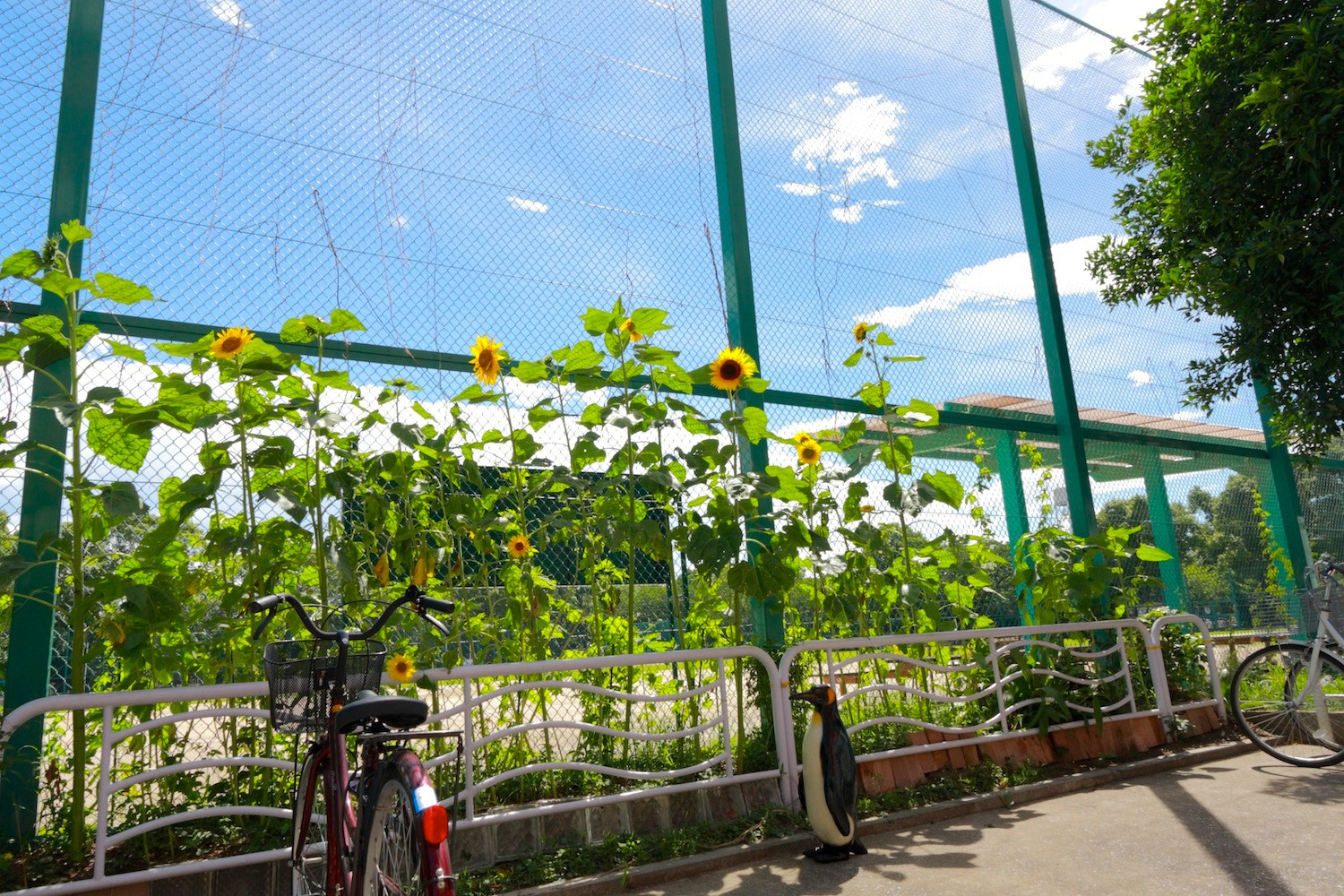 Canon EOS 40D sample photo. Blue sky is a reward for the summer. photography