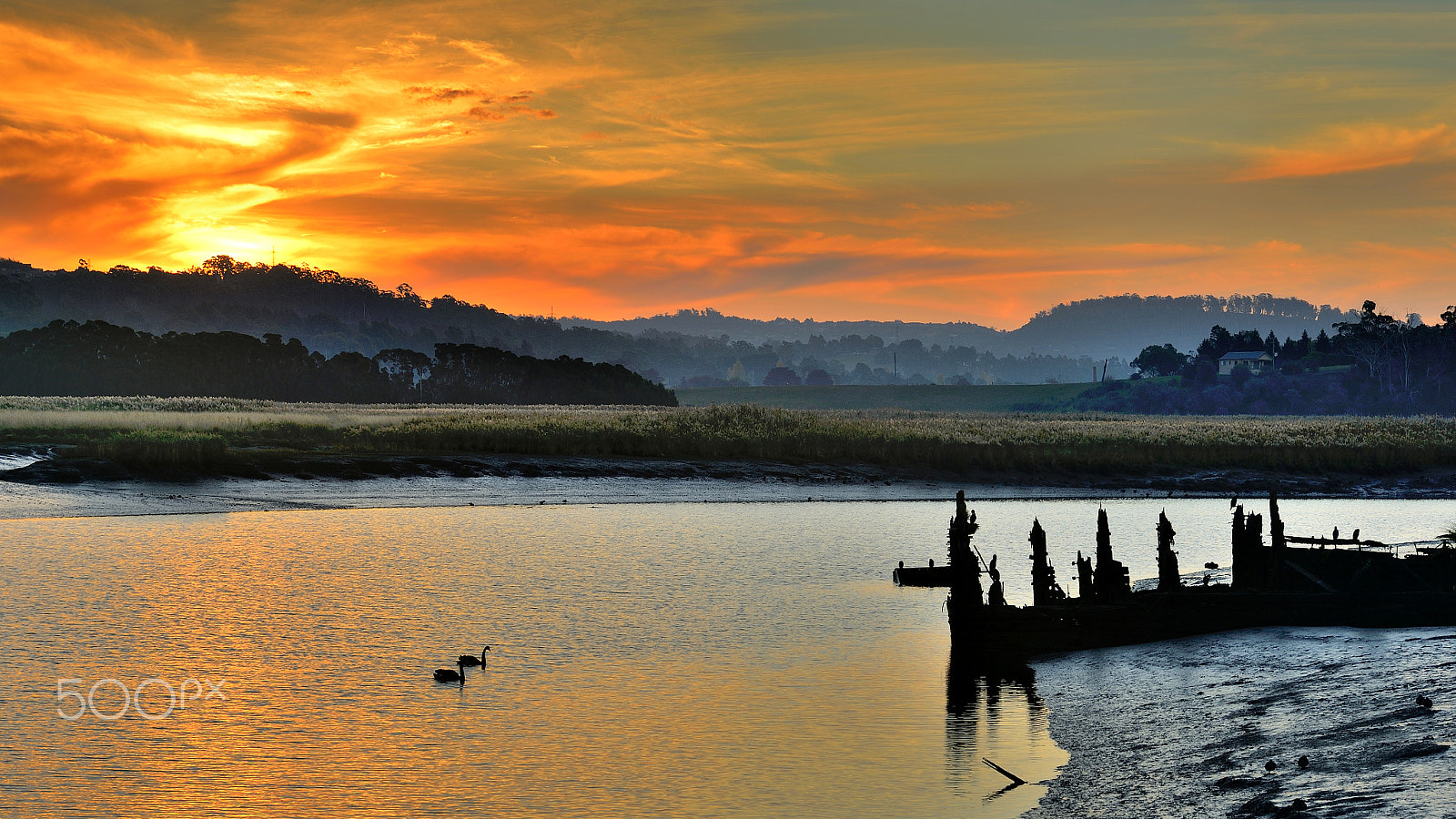 Nikon Df sample photo. Sunset at tamar island, tasmania photography