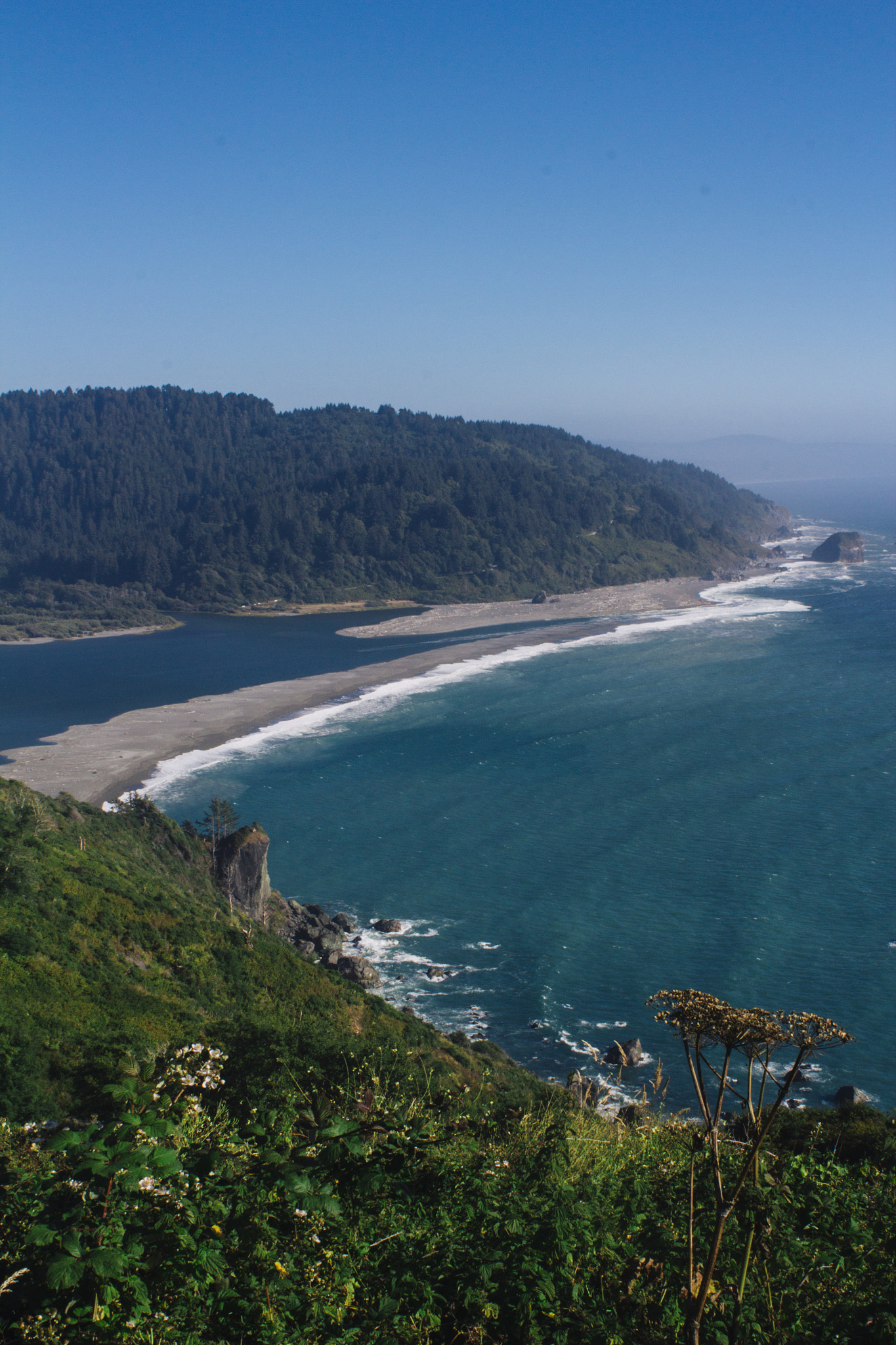 Canon EOS 600D (Rebel EOS T3i / EOS Kiss X5) + Canon EF 28mm F2.8 sample photo. Redwood shore photography