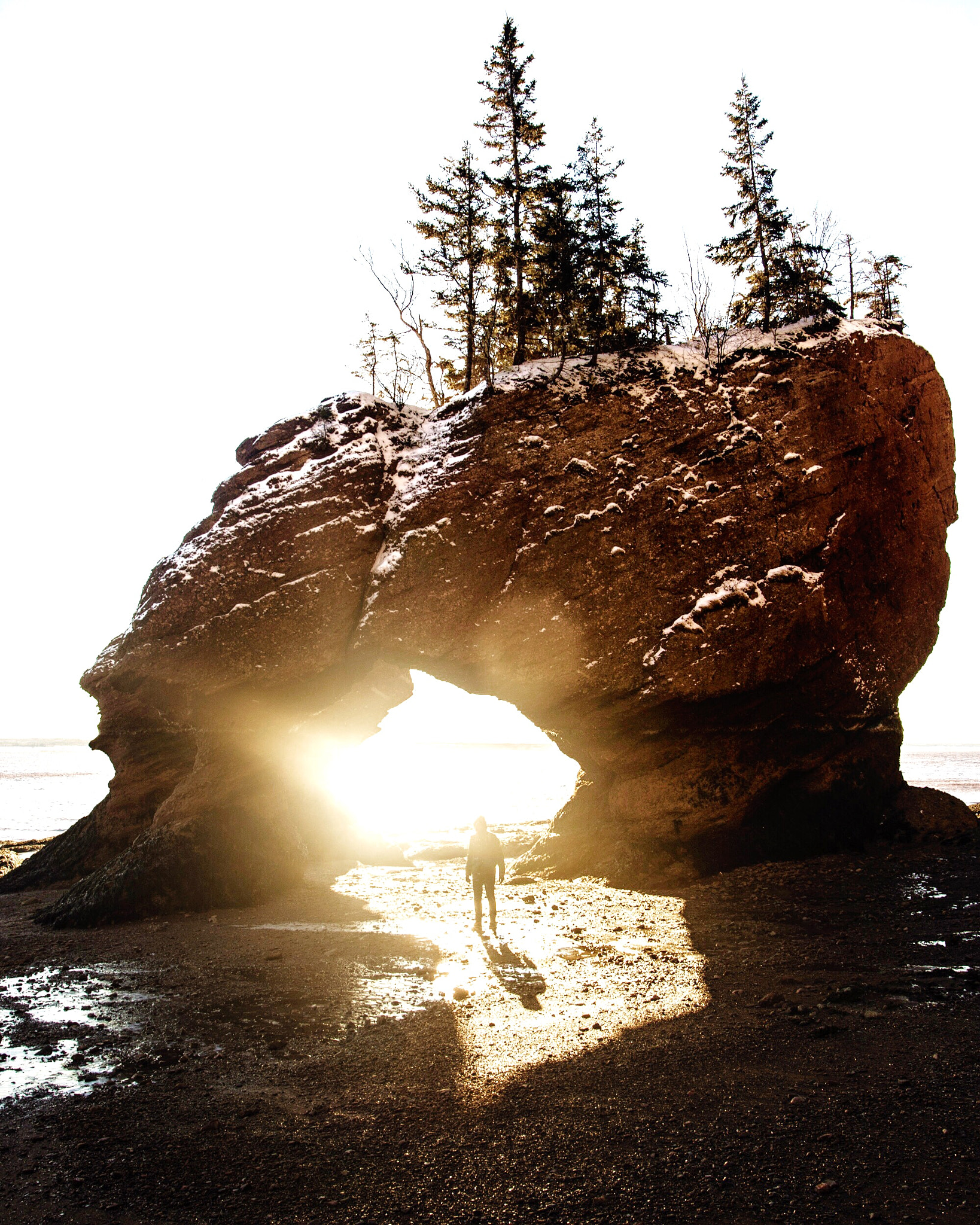 Nikon D4 sample photo. Sunrise at hopewell rocks. new brunswick. canada. photography