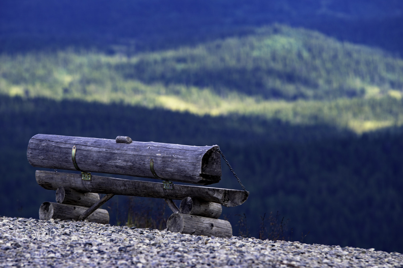 Sony ILCA-77M2 + 70-200mm F2.8 sample photo. The view from the bench photography