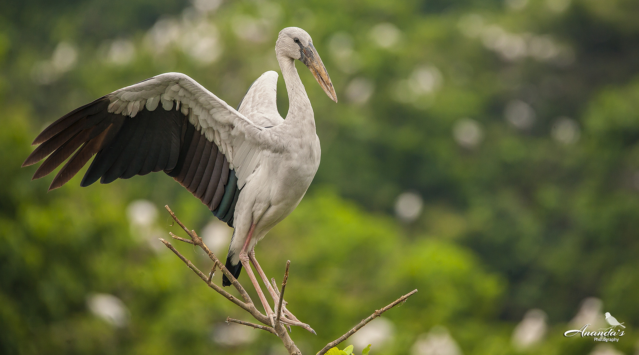 Tamron SP 150-600mm F5-6.3 Di VC USD sample photo. Ready to fly photography