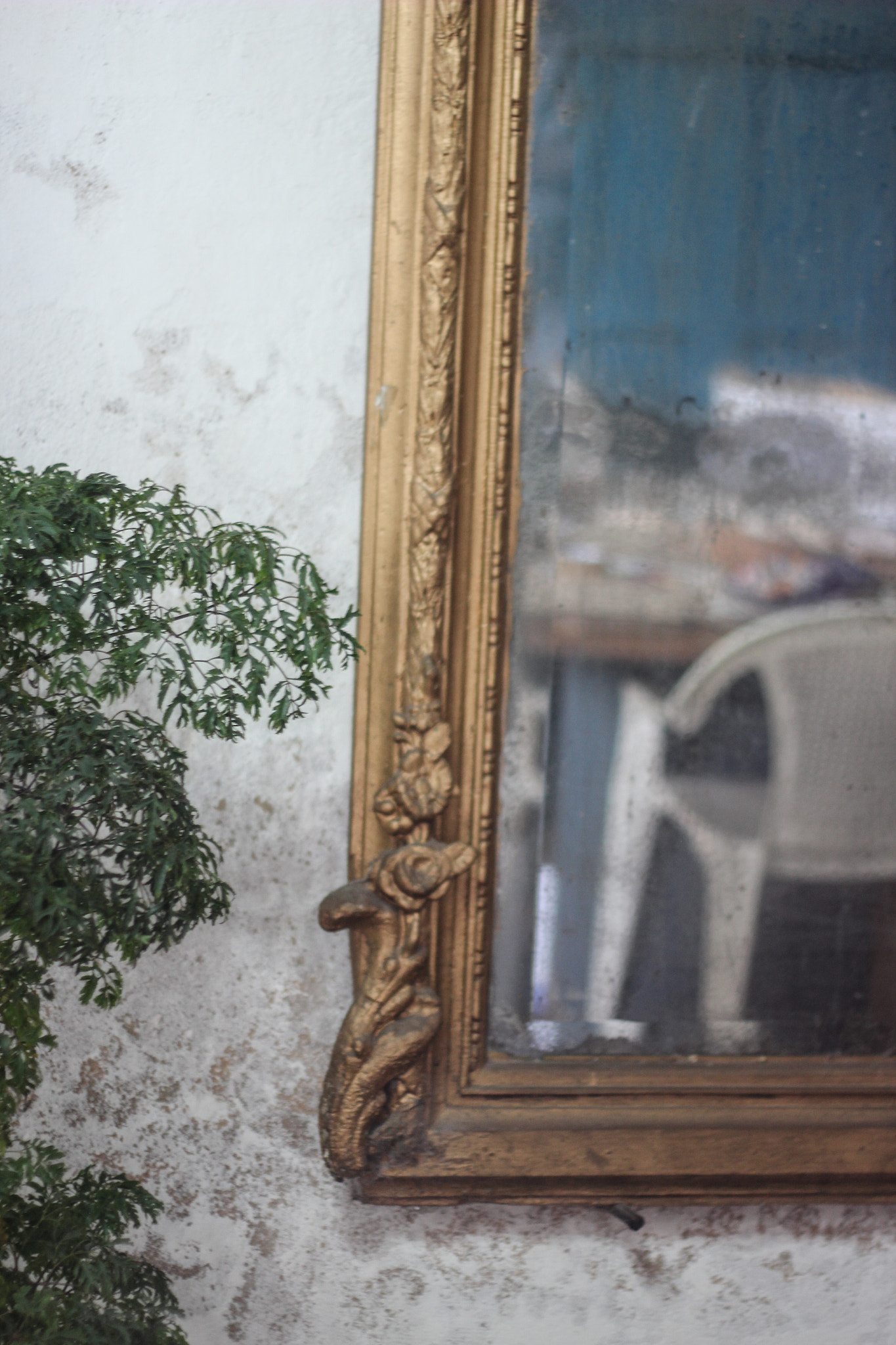 Canon EF 50mm F1.8 II sample photo. A reflection photography