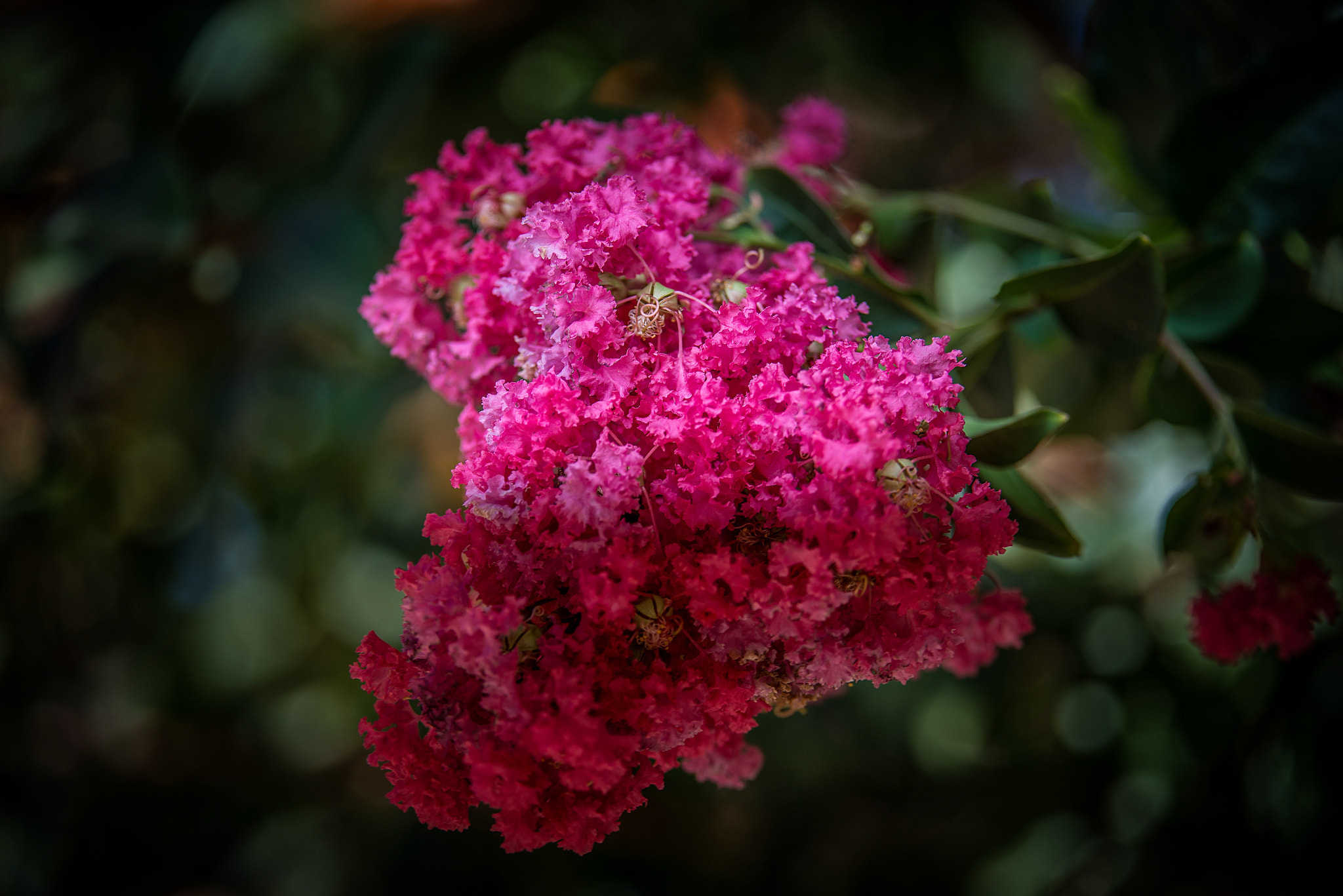 Tokina AT-X 70-200mm F4 PRO FX VCM-S sample photo