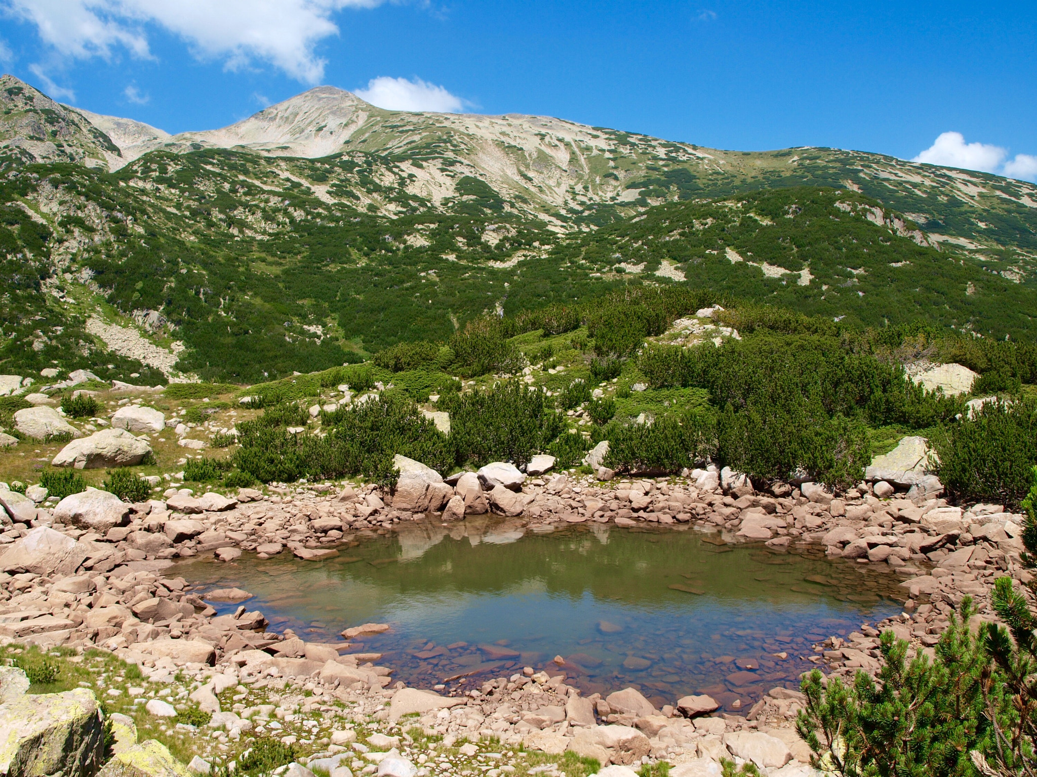 Olympus E-450 (EVOLT E-450) + Olympus Zuiko Digital ED 14-42mm F3.5-5.6 sample photo. Little lake in pirin mountain photography