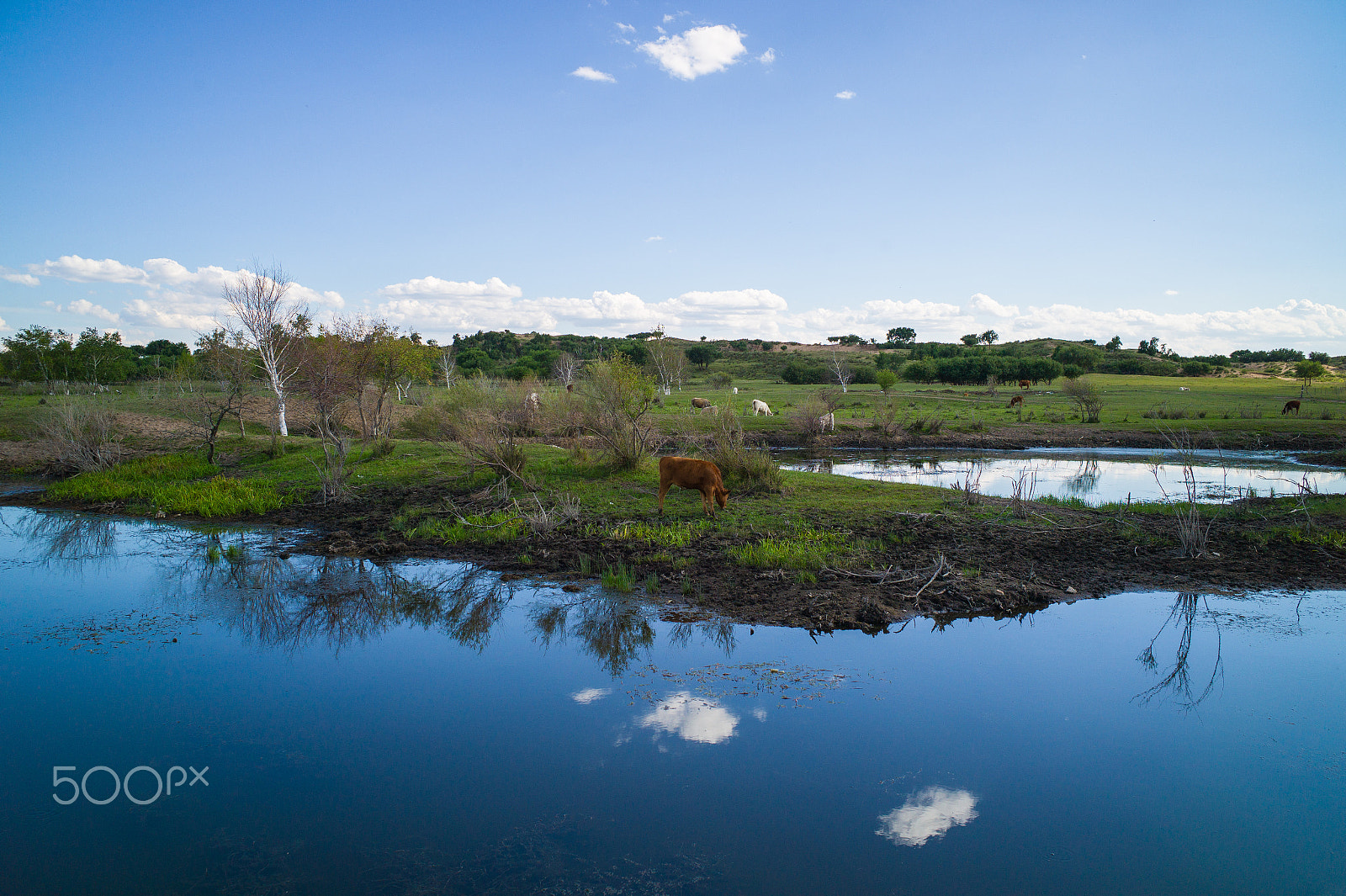 Leica M9 + Leica Elmarit-M 28mm F2.8 ASPH sample photo. L1007426-2.jpg photography