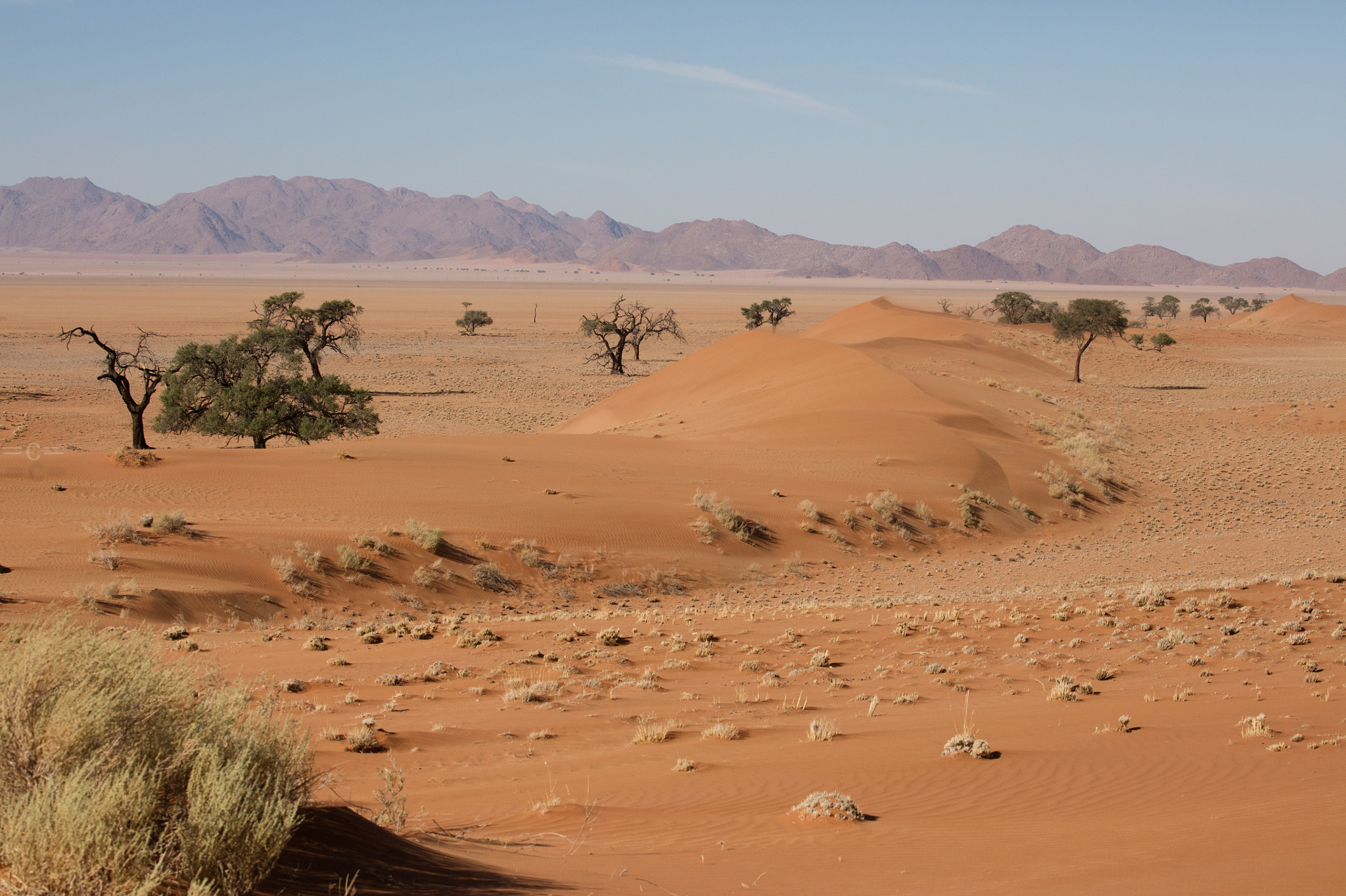 Canon EF 70-300mm F4-5.6L IS USM sample photo. Sand dunes and trees photography