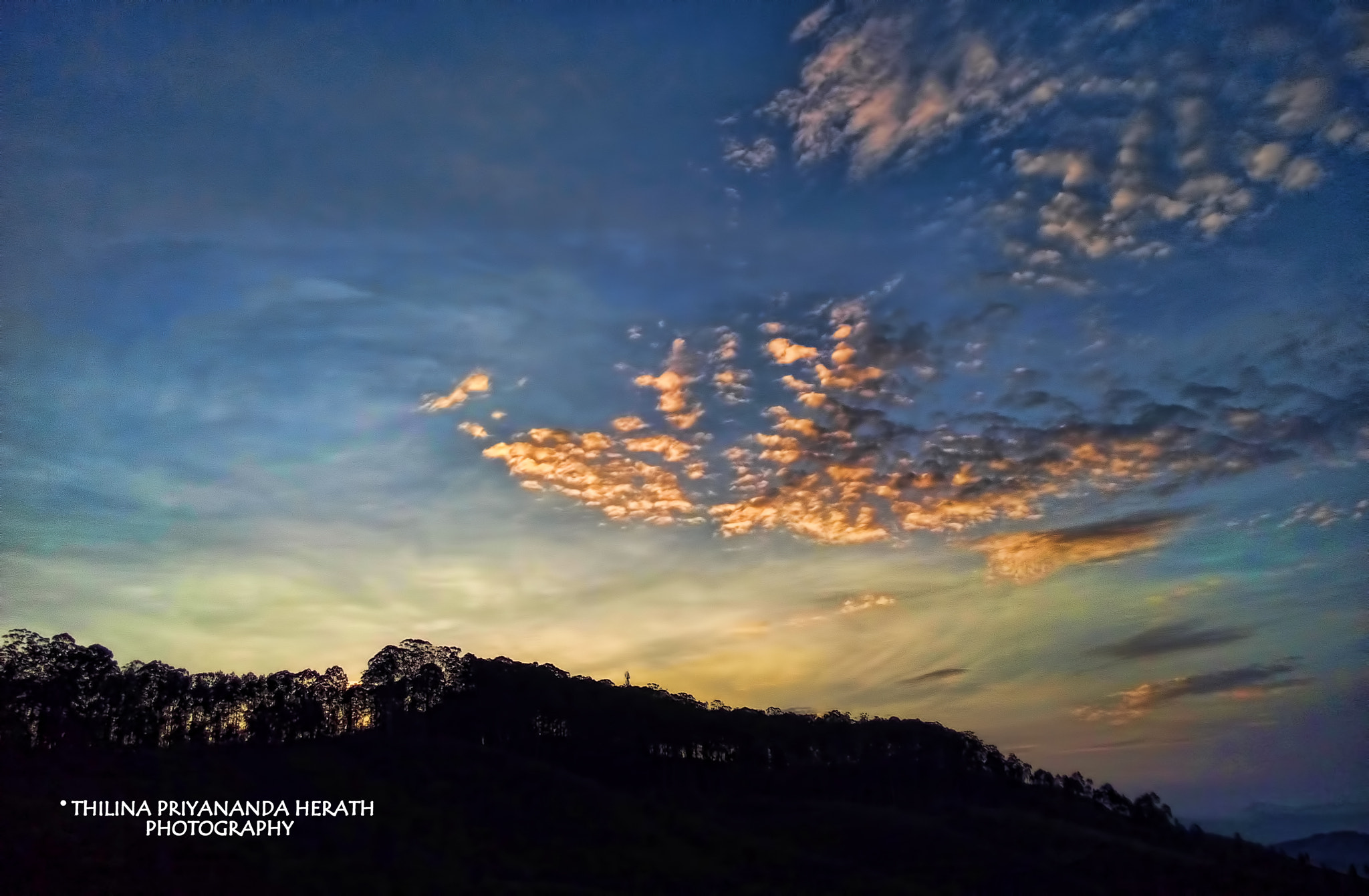 HUAWEI Honor3 sample photo. © thilina priyananda herath photography photography