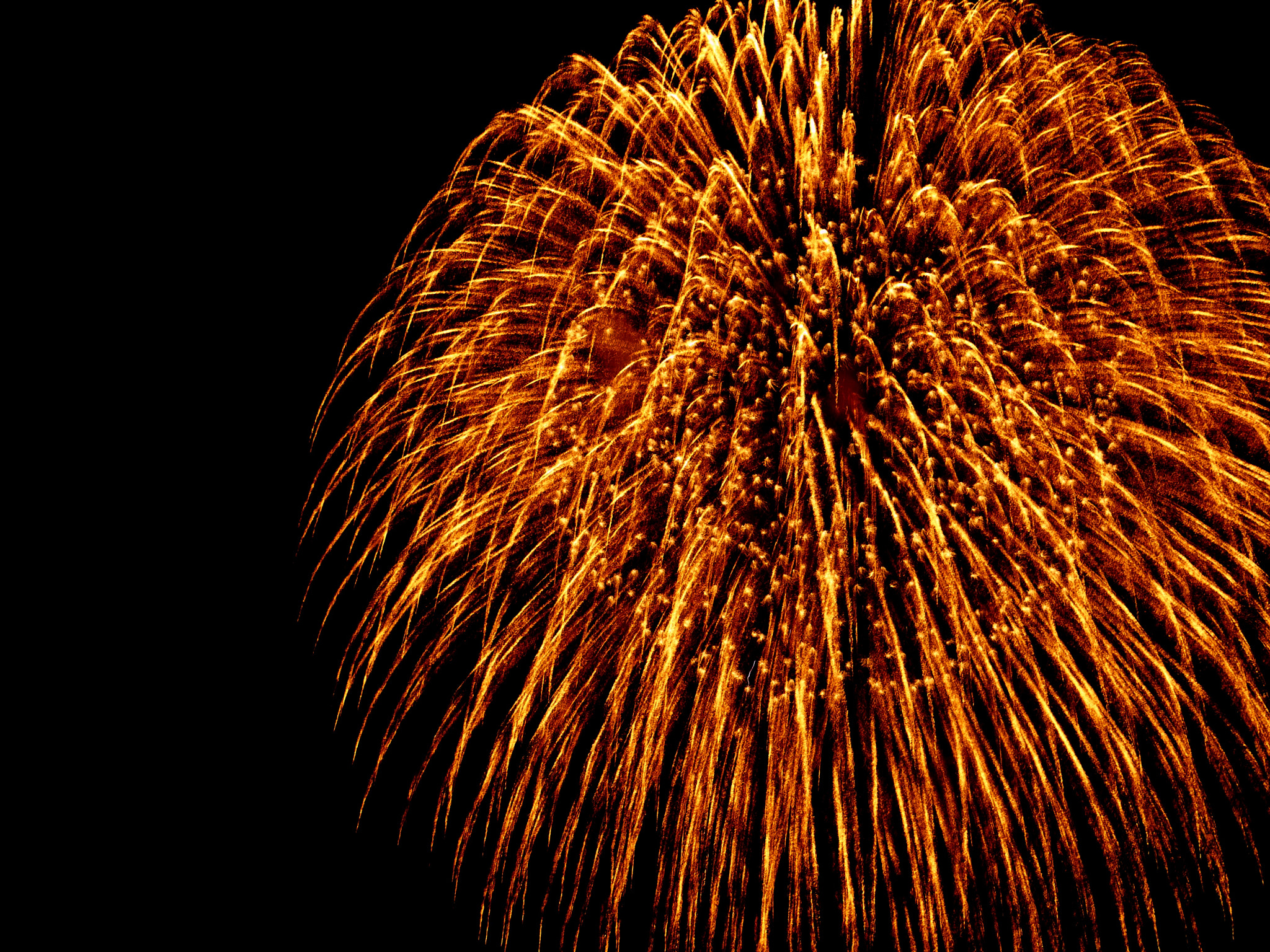 Panasonic Lumix DMC-G1 sample photo. Weeping willow fireworks  しだれ柳 photography