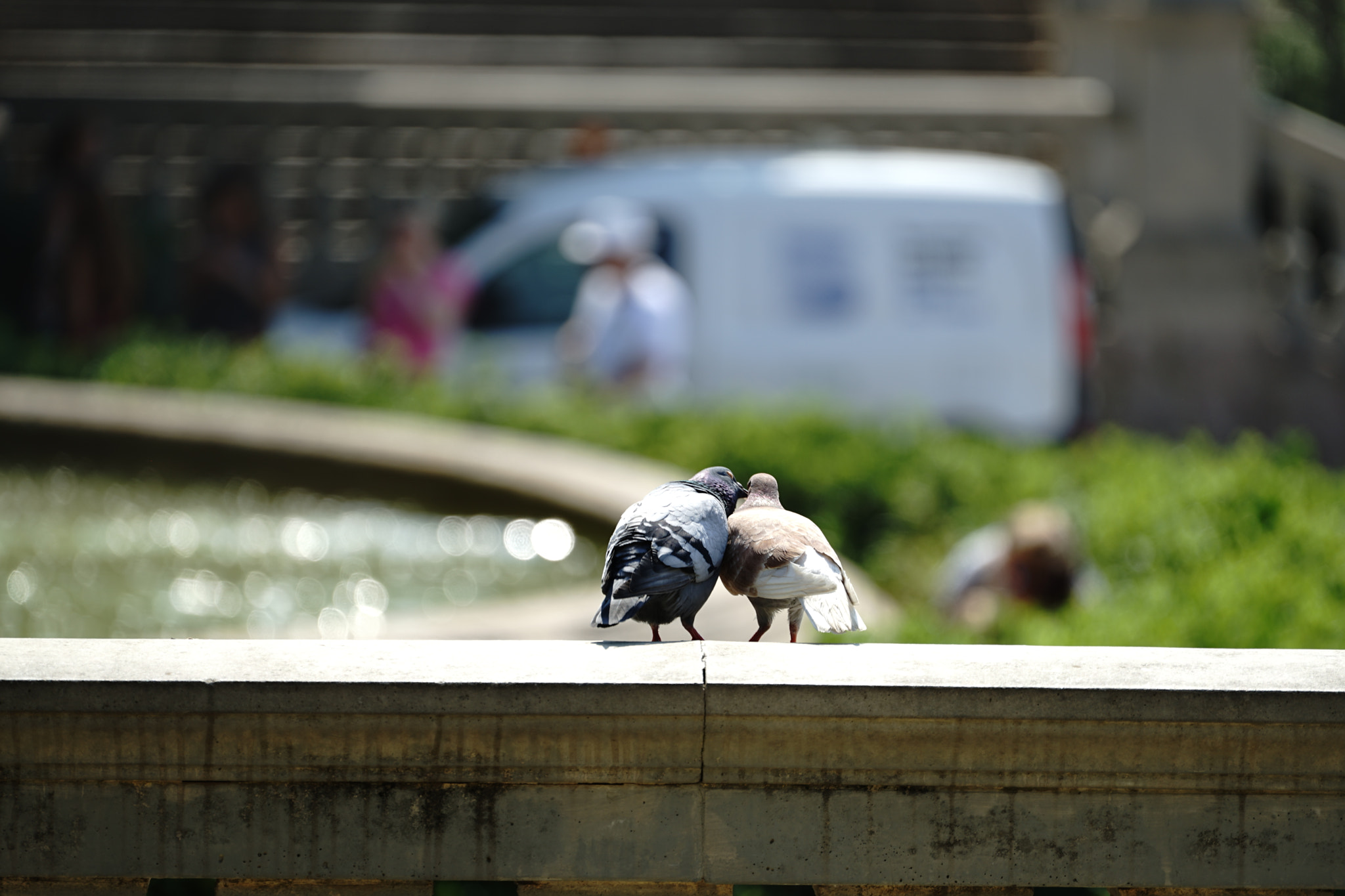 Sony FE 70-300mm F4.5-5.6 G OSS sample photo. Love photography