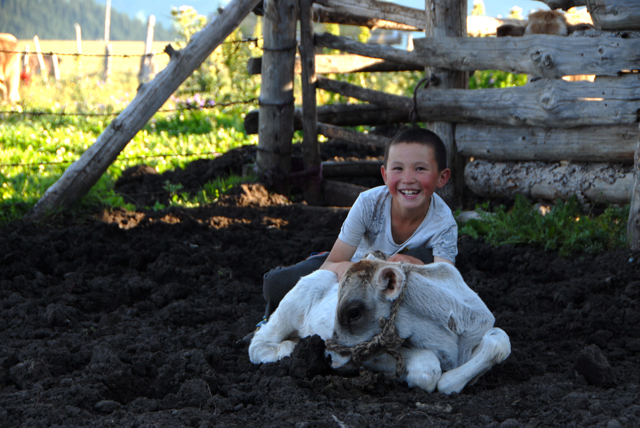 Nikon D200 sample photo. Happy boy photography