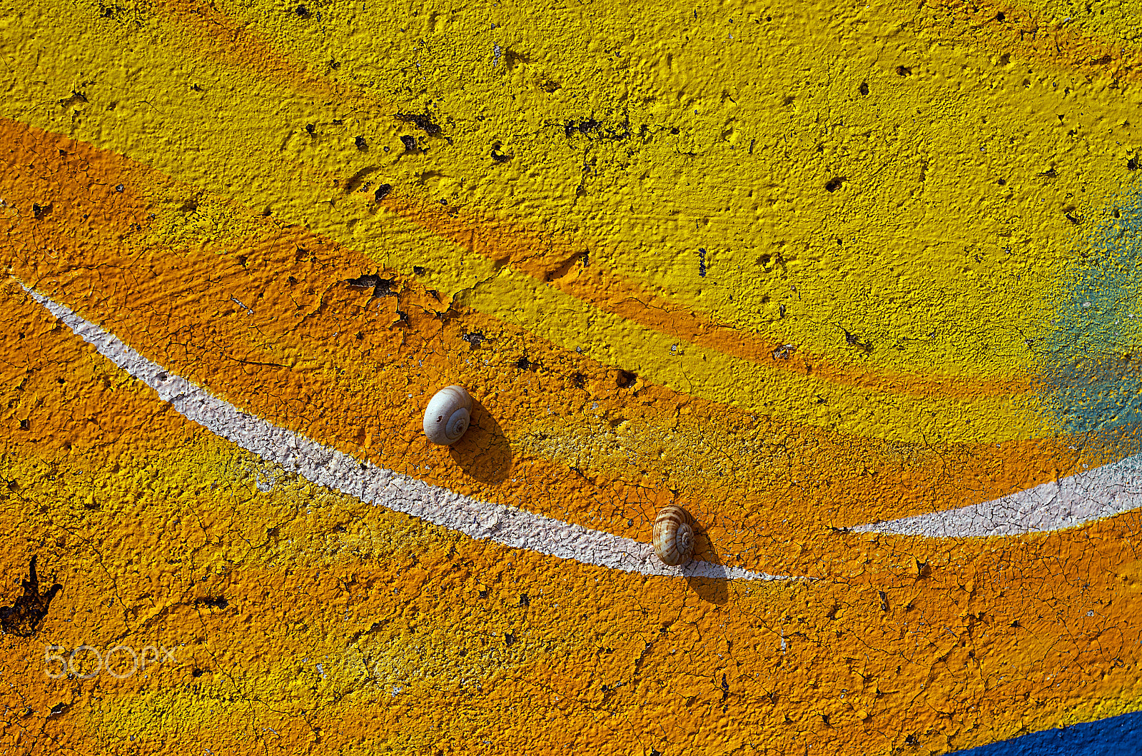Pentax K-5 IIs + A Series Lens sample photo. Snails photography