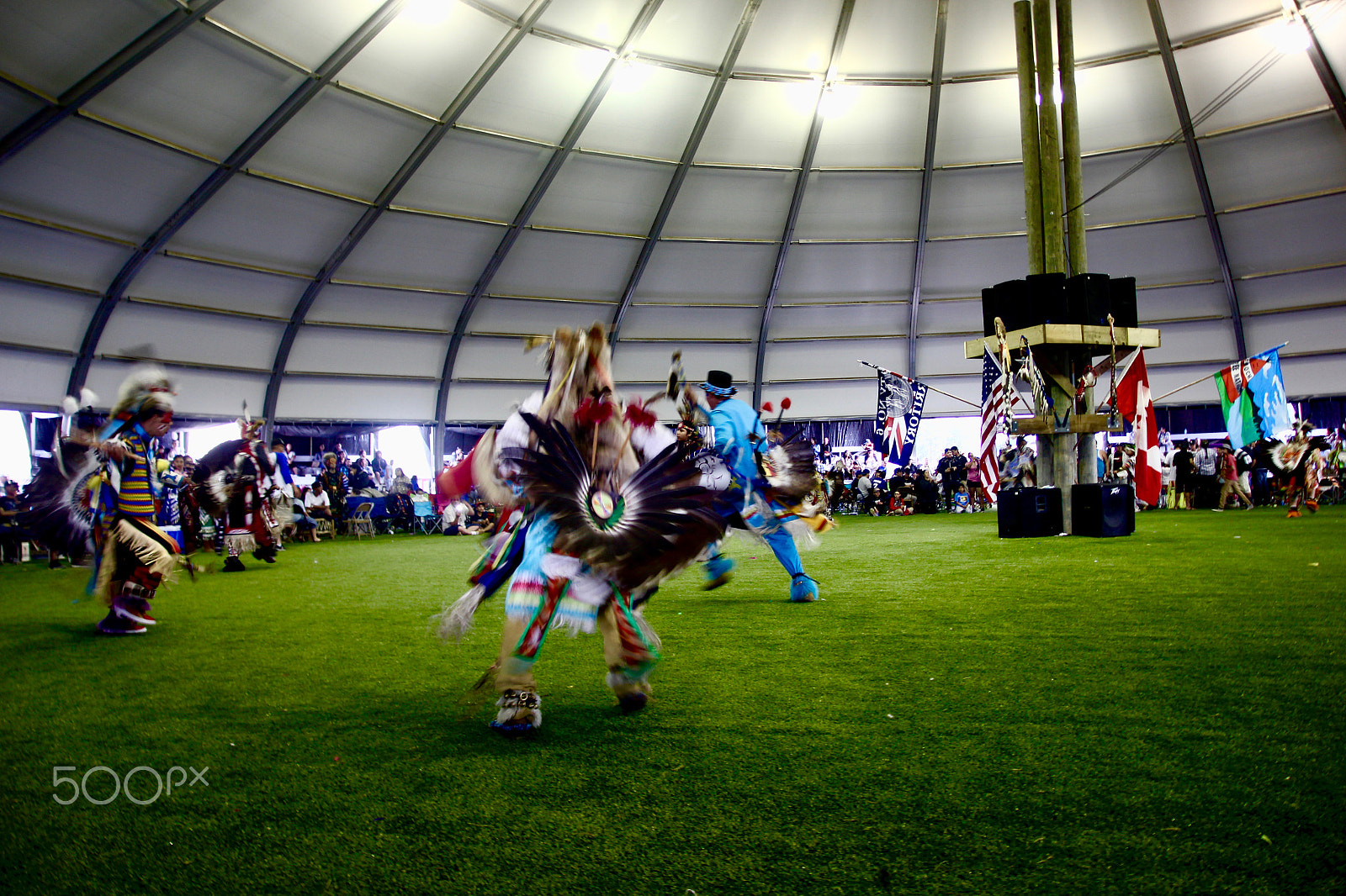 Sigma 17-70mm F2.8-4 DC Macro OS HSM sample photo. Dancing cree photography