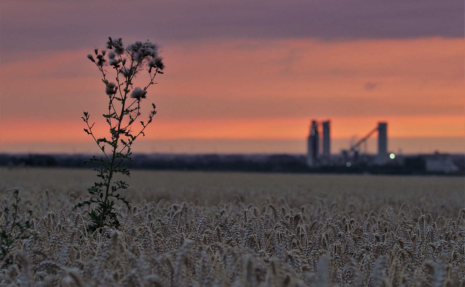 Pentax K-30 sample photo. Sunset photography