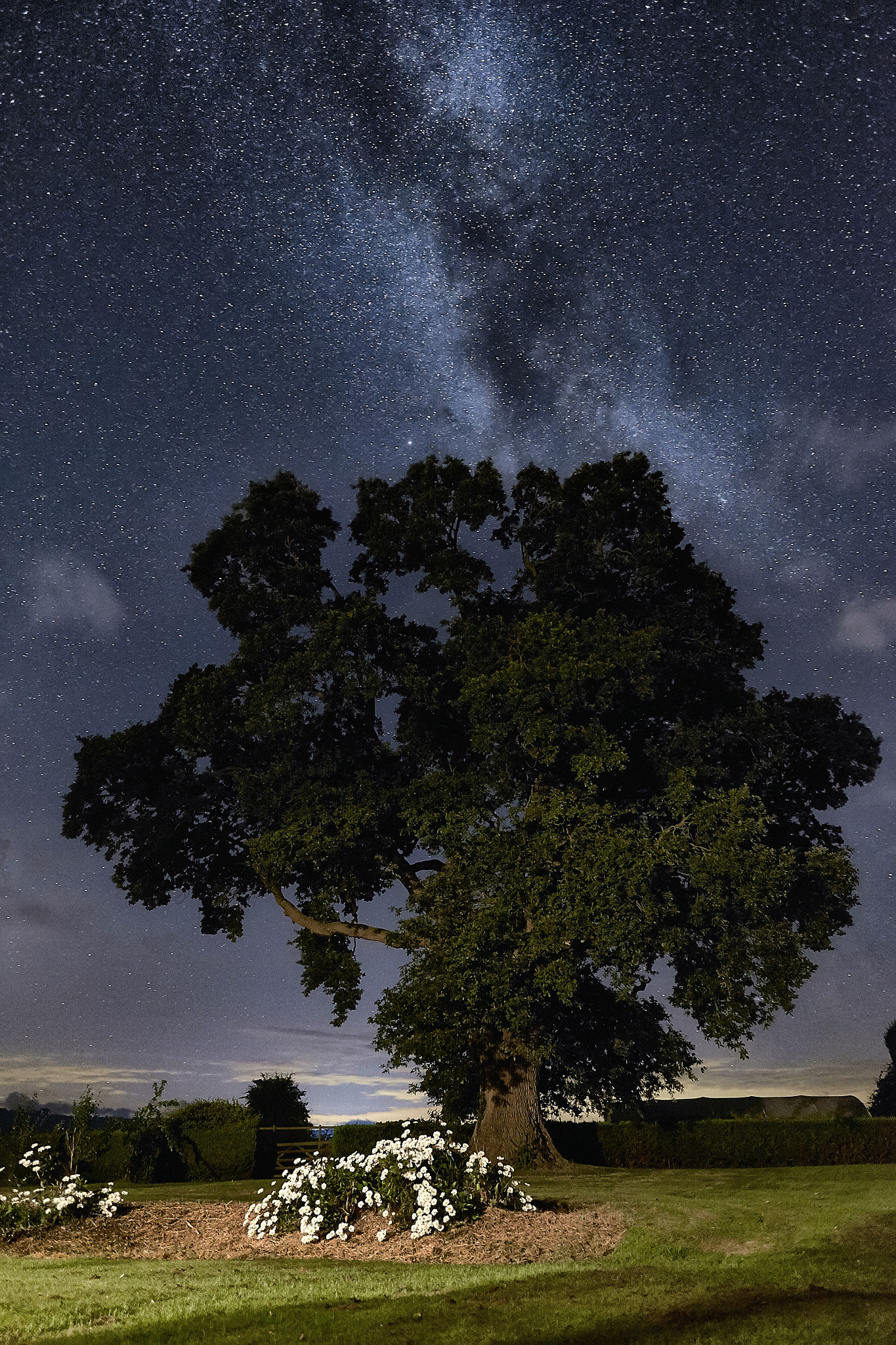 Fujifilm X-T10 + Fujifilm XF 14mm F2.8 R sample photo. Quercia glasbury, mezzanotte photography