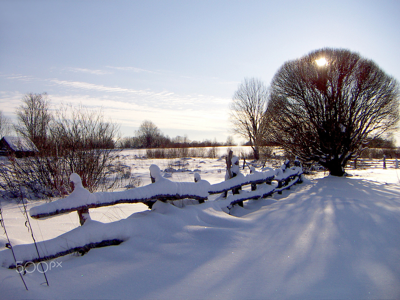 KONICA MINOLTA DiMAGE X31 sample photo. Clear winter day photography