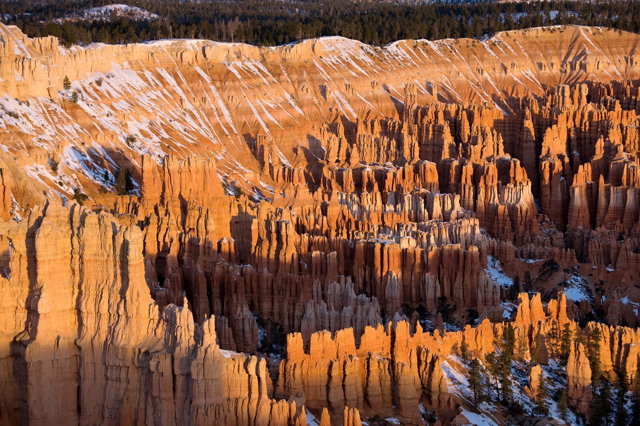Canon EOS-1Ds Mark III + Canon EF 70-200mm F4L IS USM sample photo. Sunrise at bryce point photography