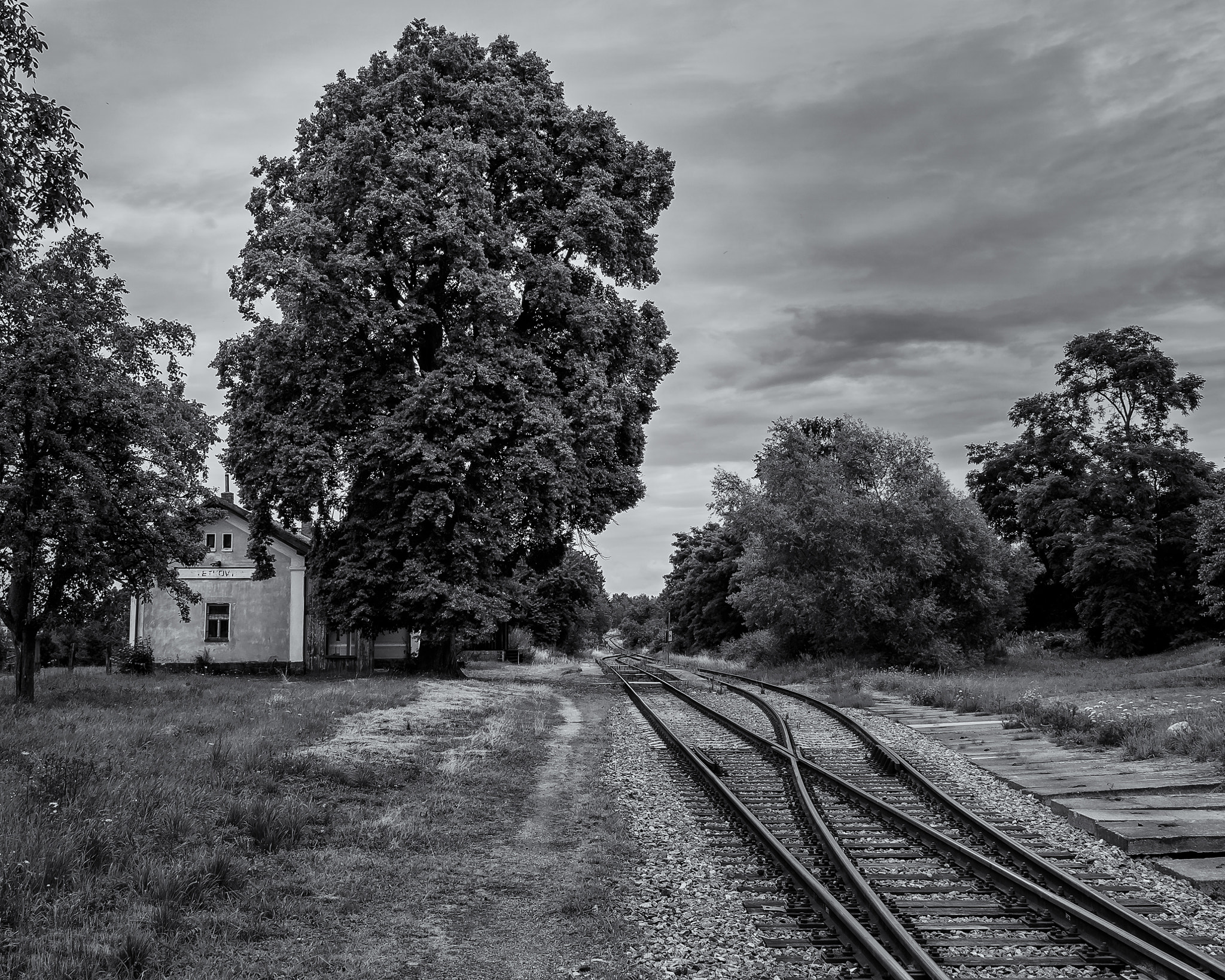 Olympus OM-D E-M10 II + LUMIX G 20/F1.7 II sample photo. Train station // b&w photography