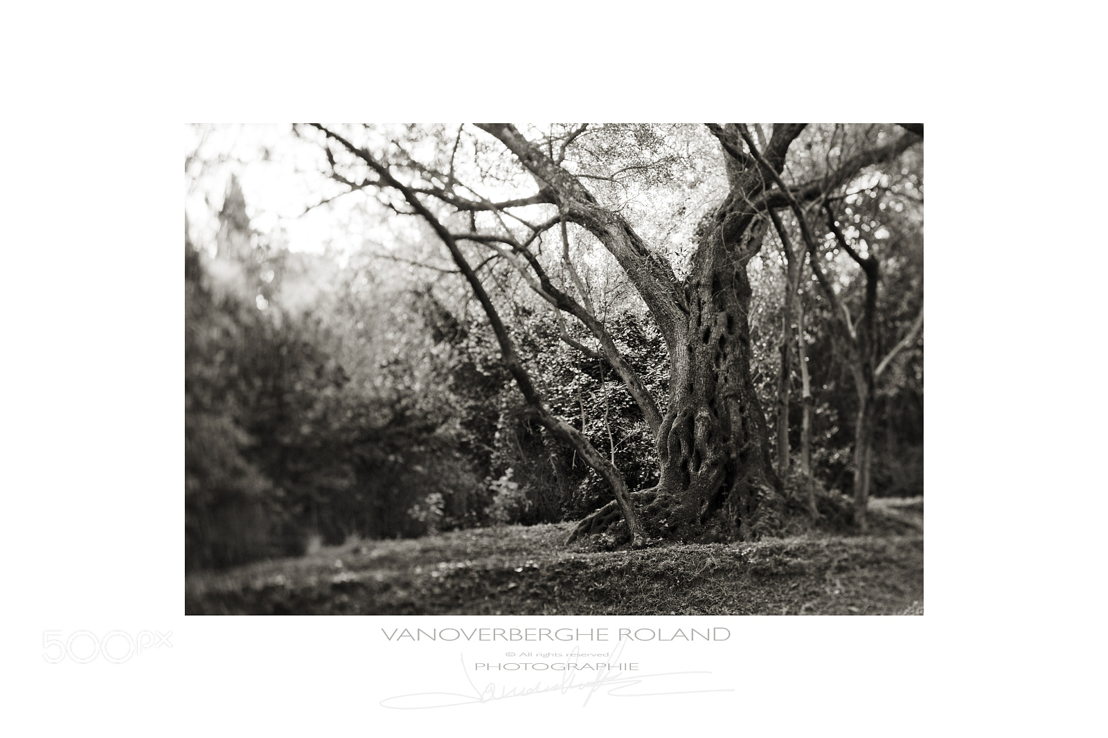 Canon TS-E 90mm F2.8 Tilt-Shift sample photo. Olivier centenaire corfou photography